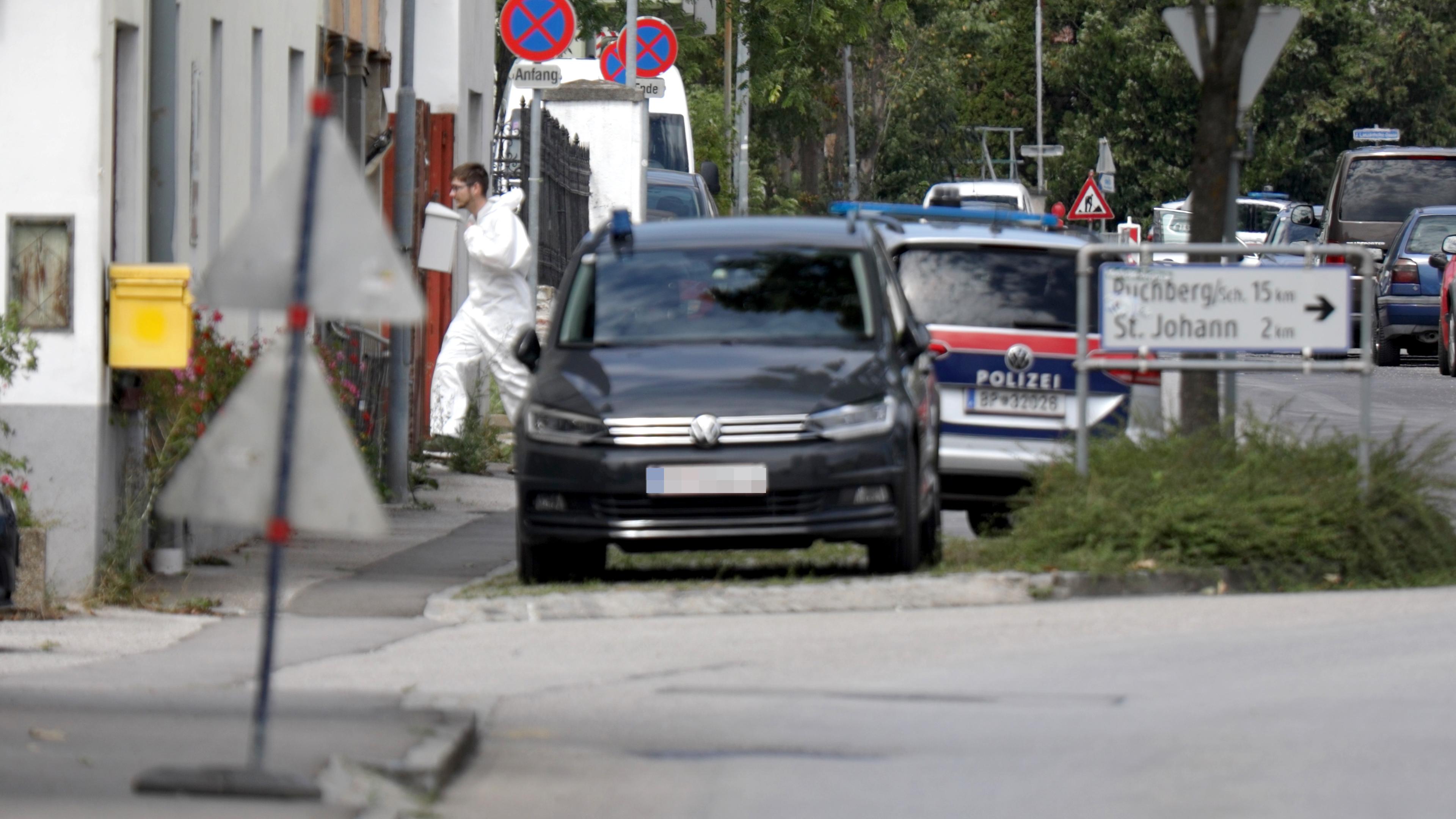 Police arrested a suspect in Ternitz, Lower Austria on Wednesday