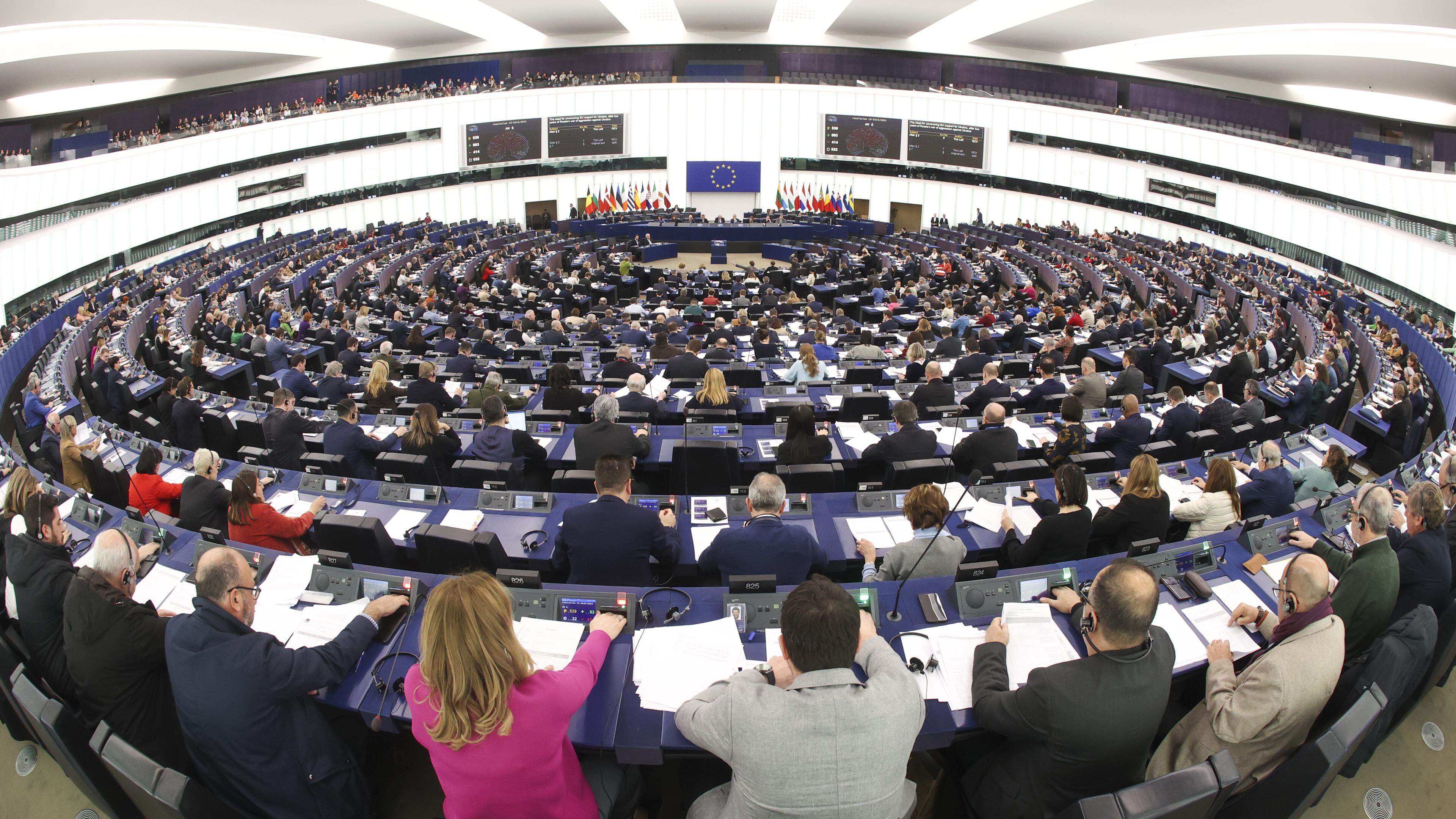 Das EU-Parlament ist die einzige transnationale Volksvertretung, die direkt gewählt wird.