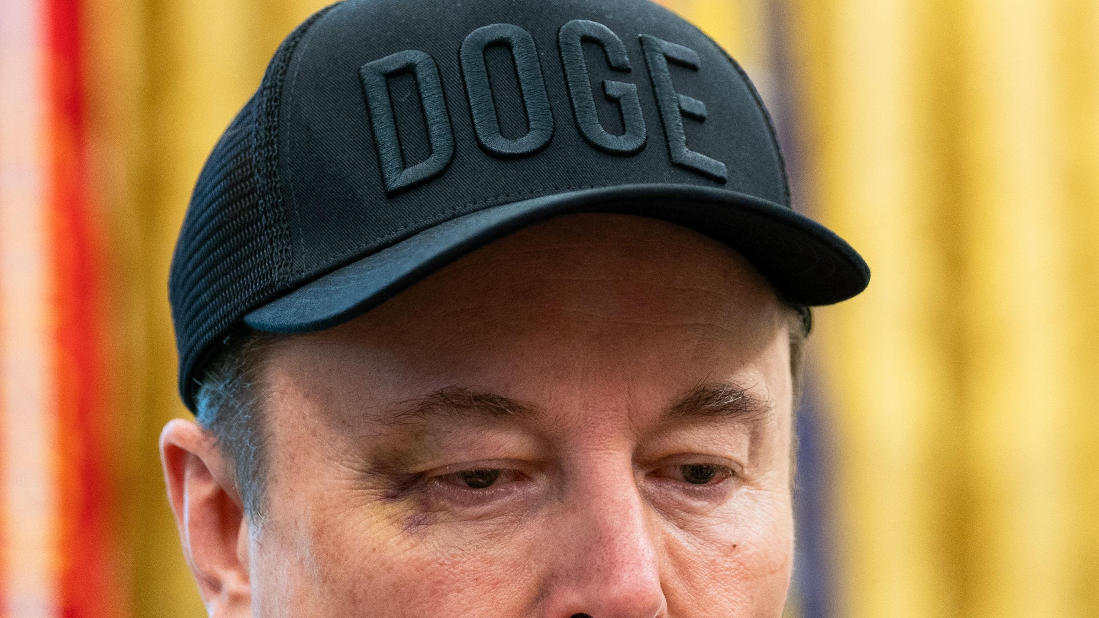 Elon Musk: From Trump fan to Trump critic