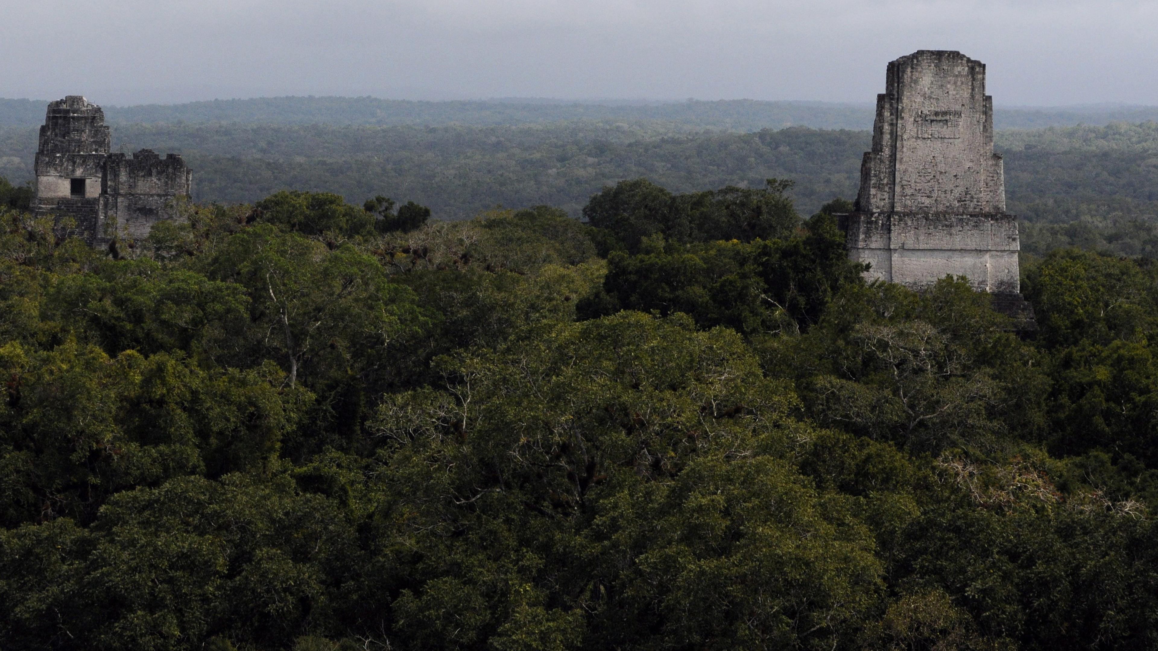 Discovered almost 3,000 year old Maya site in Guatemala