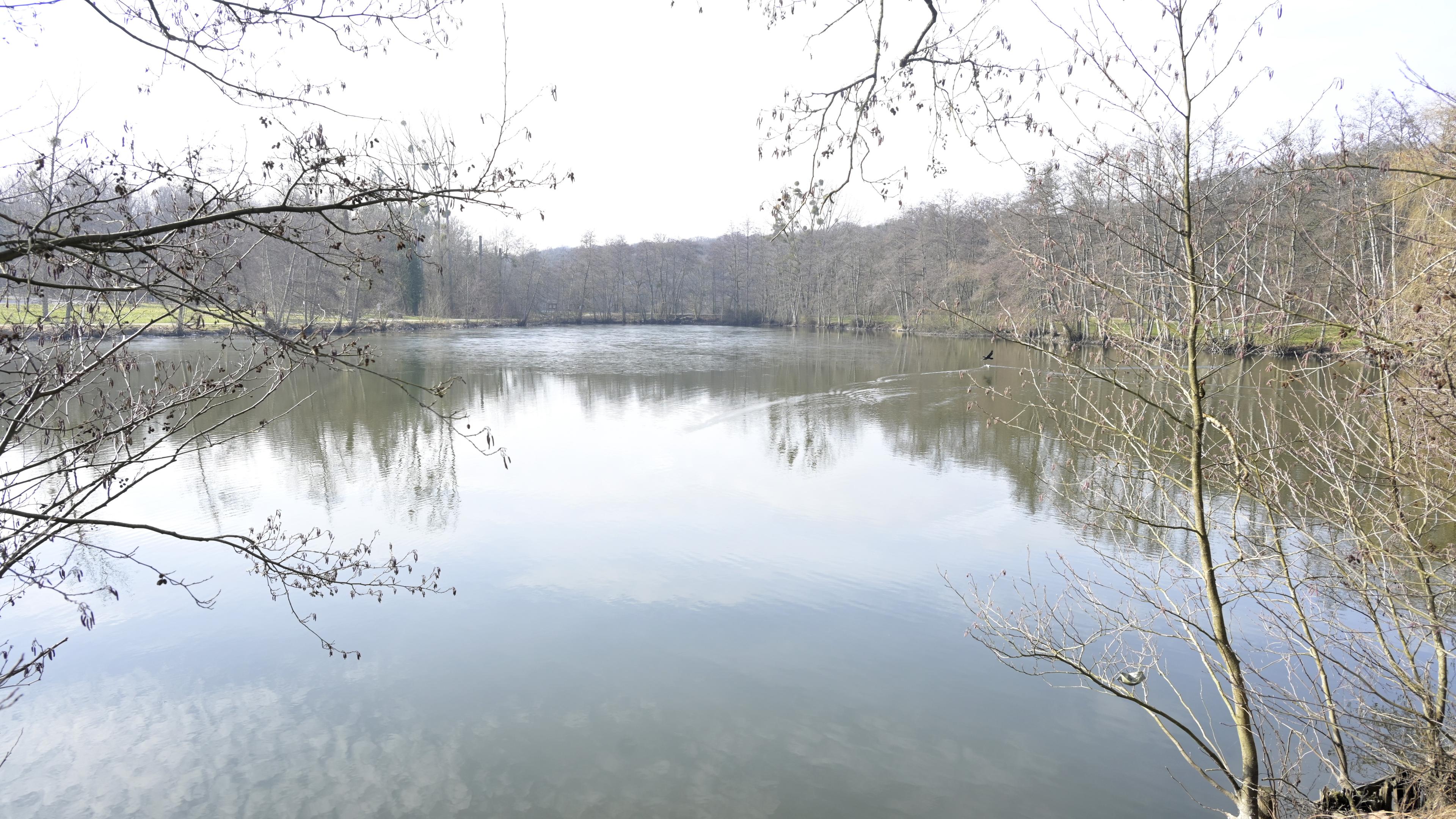 Goldfish also swim in Kockelscheuer Weiher