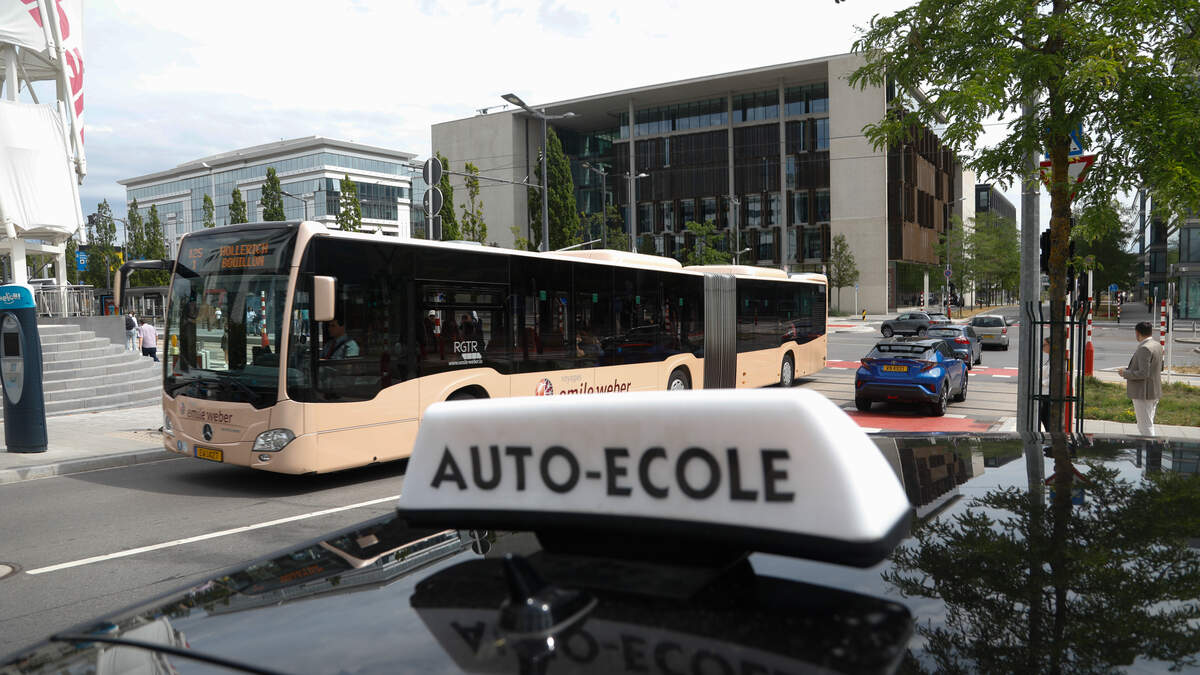 Driving instructors call for overhaul as nearly half of learners fail ...
