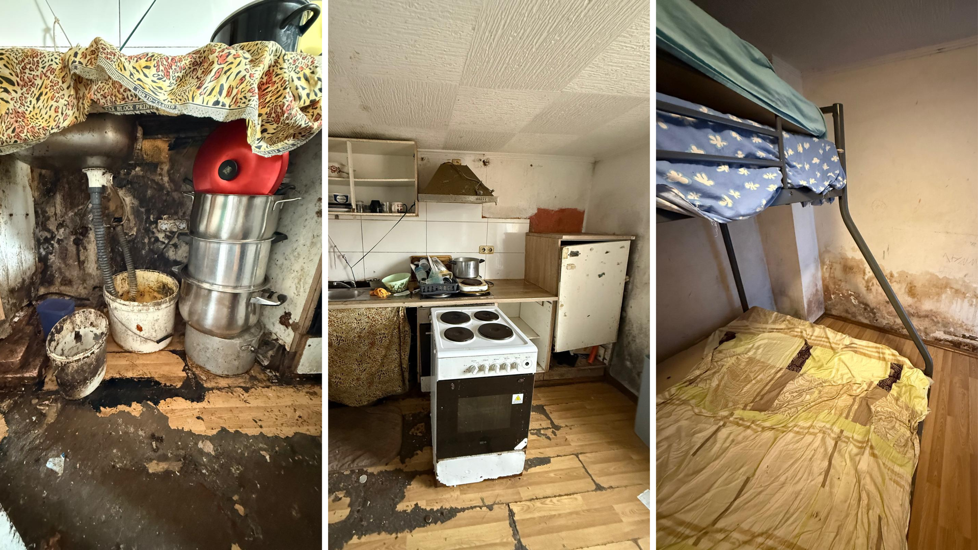 Rats and mould: Dudelange mayor orders closure of slum property ...