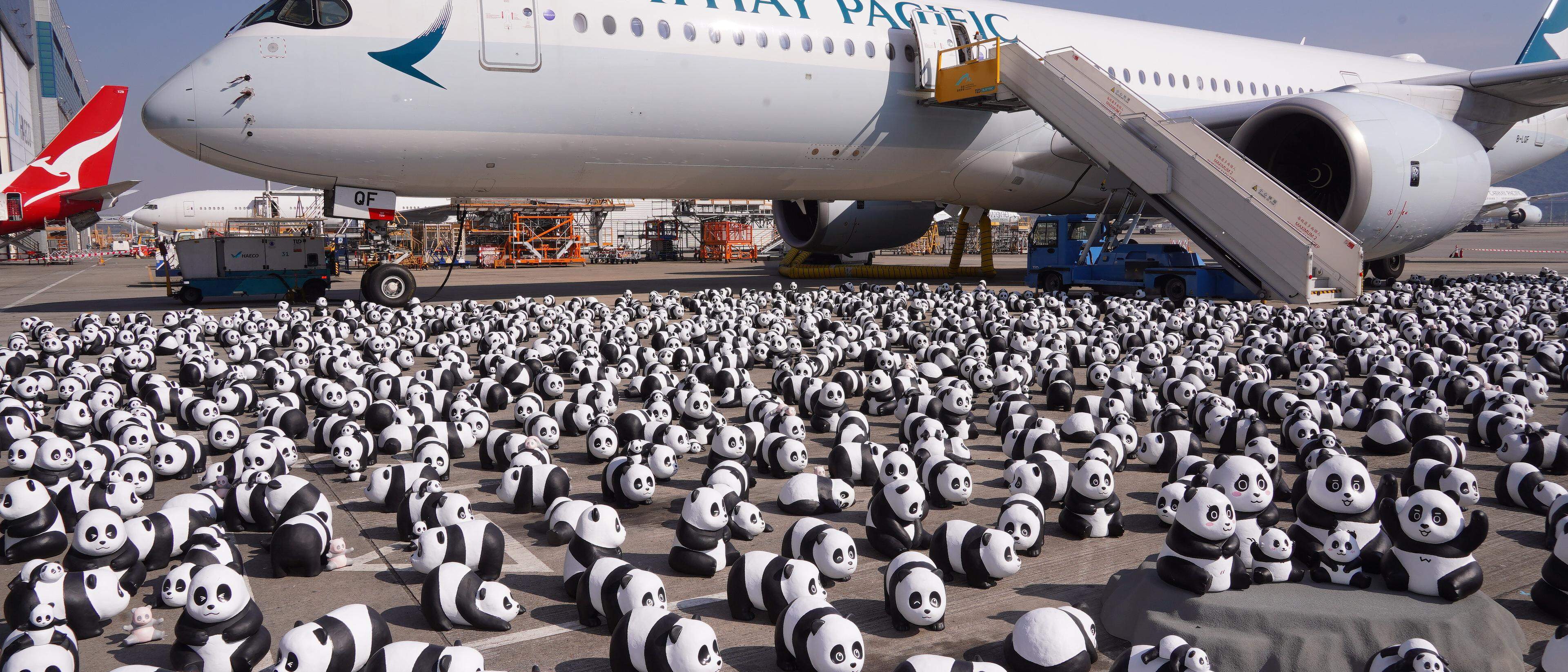 Bilder des Tages Die Pandas sind los Luxemburger Wort