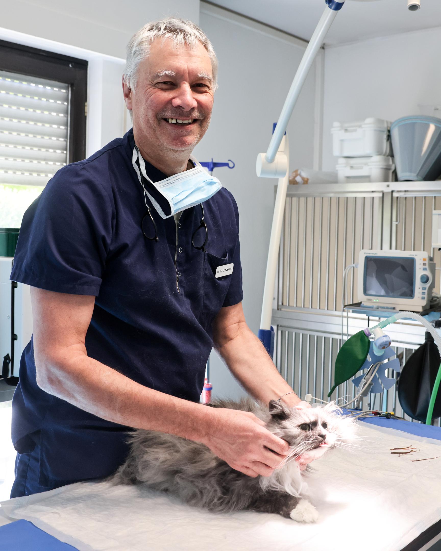 Seit 1989 führt Dr. Tom Conzemius die Notfalltierklinik in Bereldingen. Die zwölfjährige Katze hatte sich an Grashalmen verschluckt, die operativ entfernt werden mussten. 