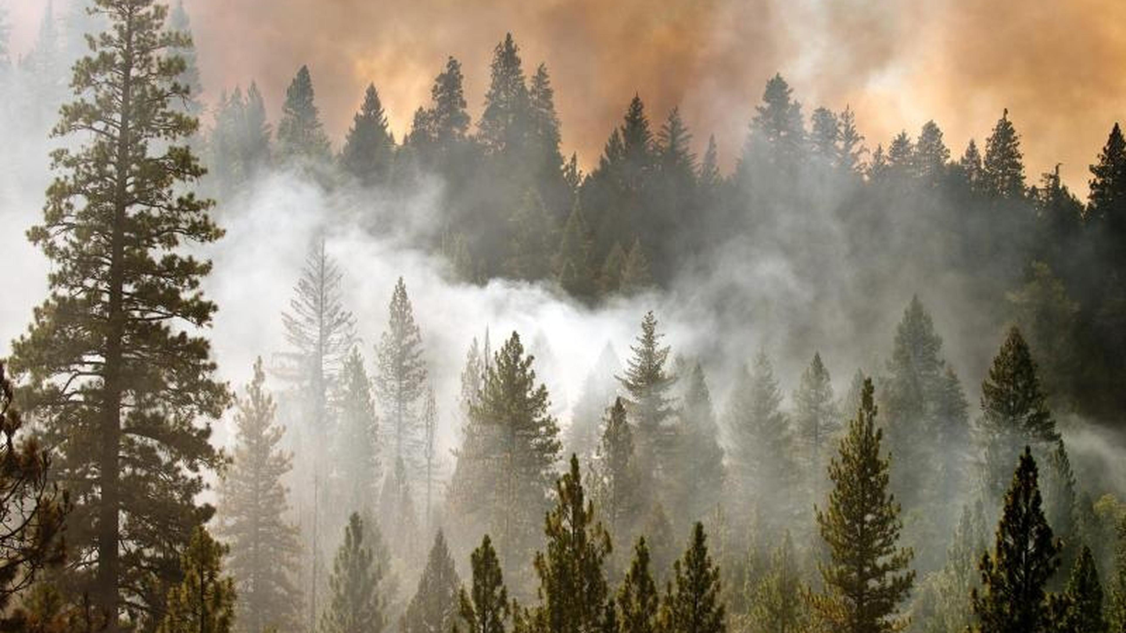 Die Waldbrände in Kalifornien lodern weiter. Nur ein Bruchteil ist bisher unter Kontrolle.