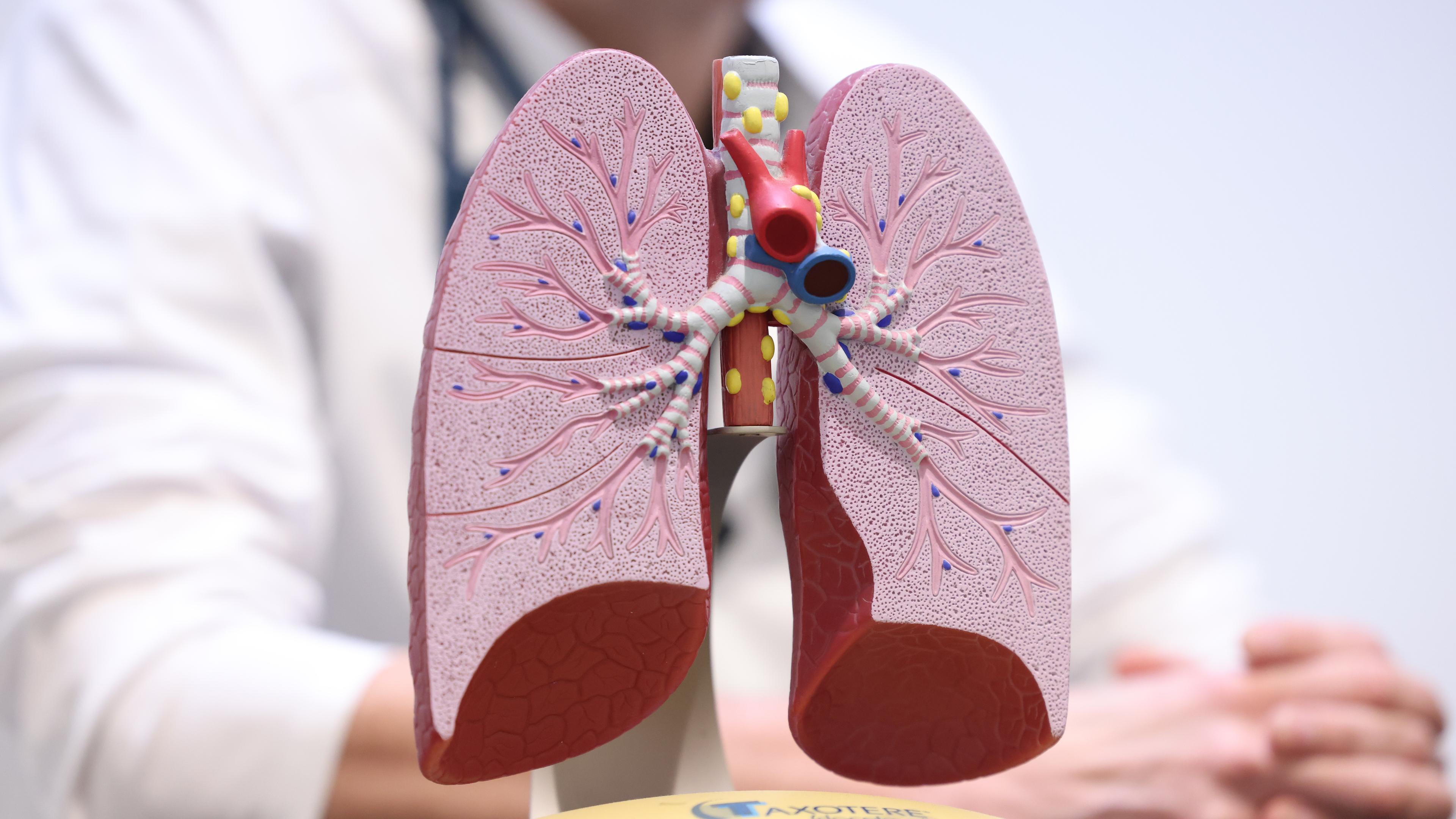 Tips for healthy respiratory tract: How you can do your lung good