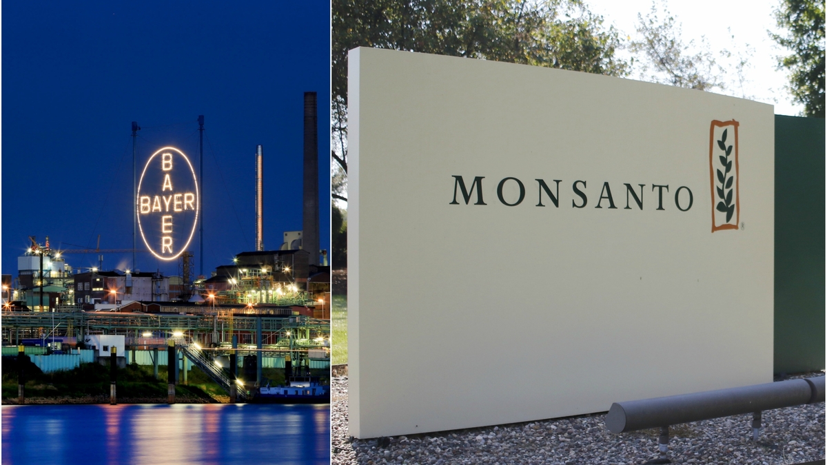 Monsanto-bernahme durch Bayer offiziell abgeschlossen | Luxemburger Wort