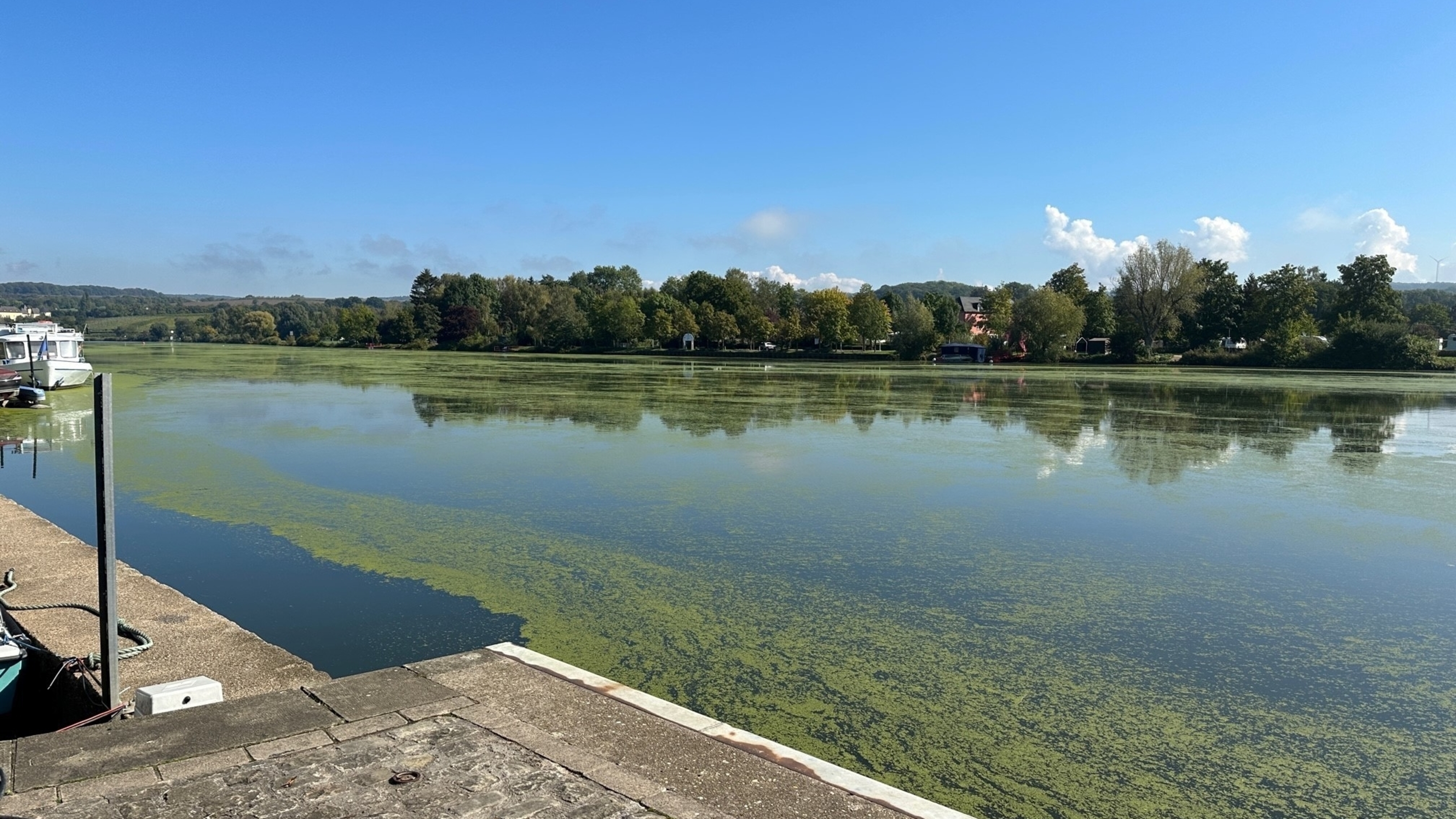 Luxembourg fights blue algae plague with app - Vimarsana News