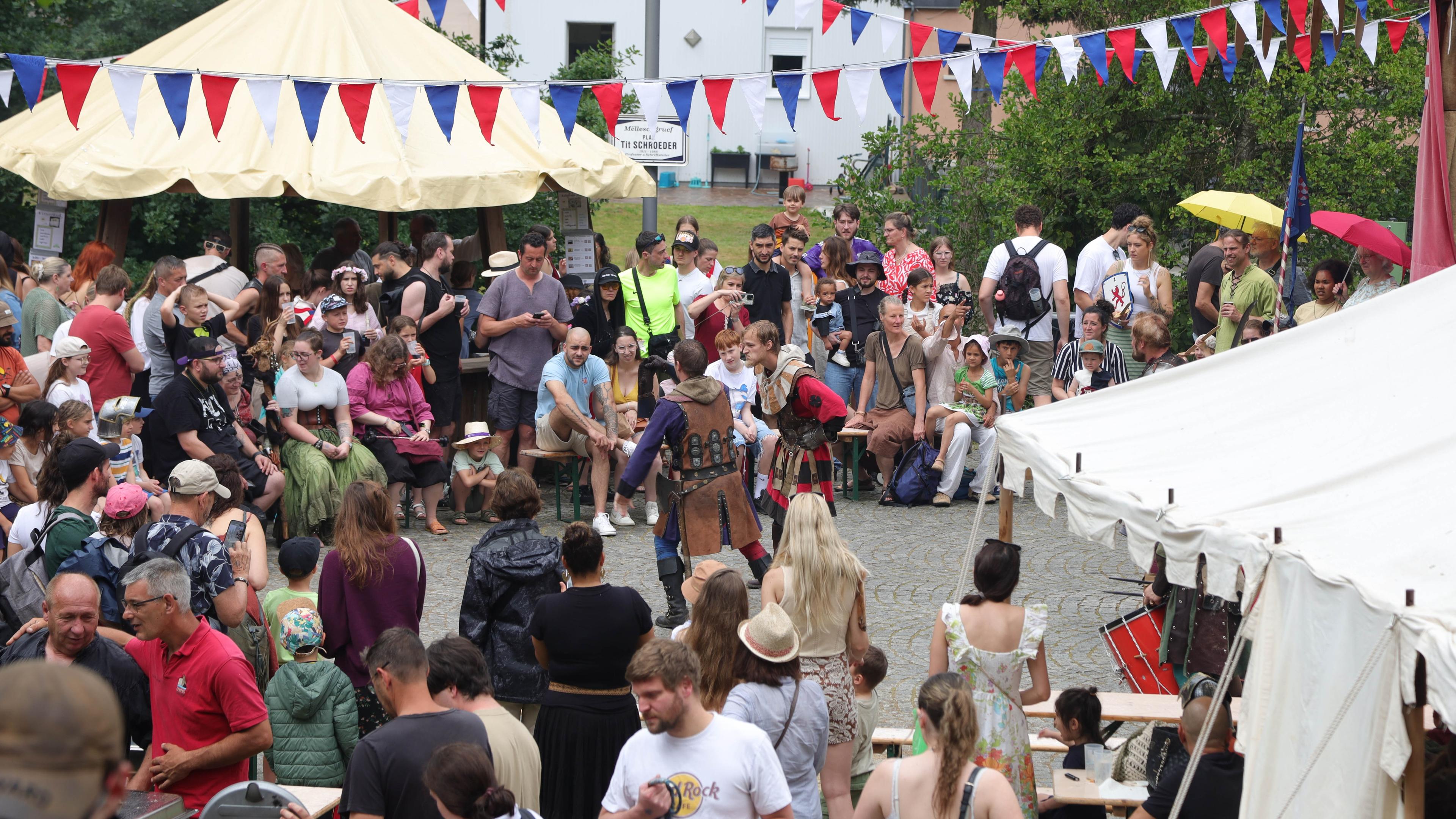 Time travel to the Middle Ages: Useldingen celebrates magical castle festival