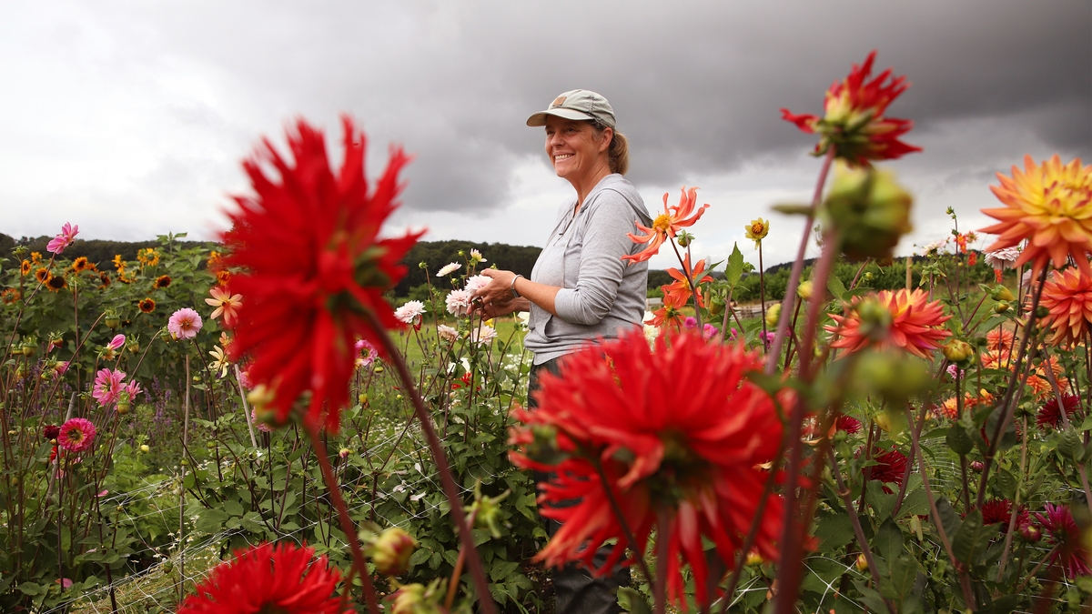 In diesem Garten landen fast alle Blumen auf dem Teller | Luxemburger Wort