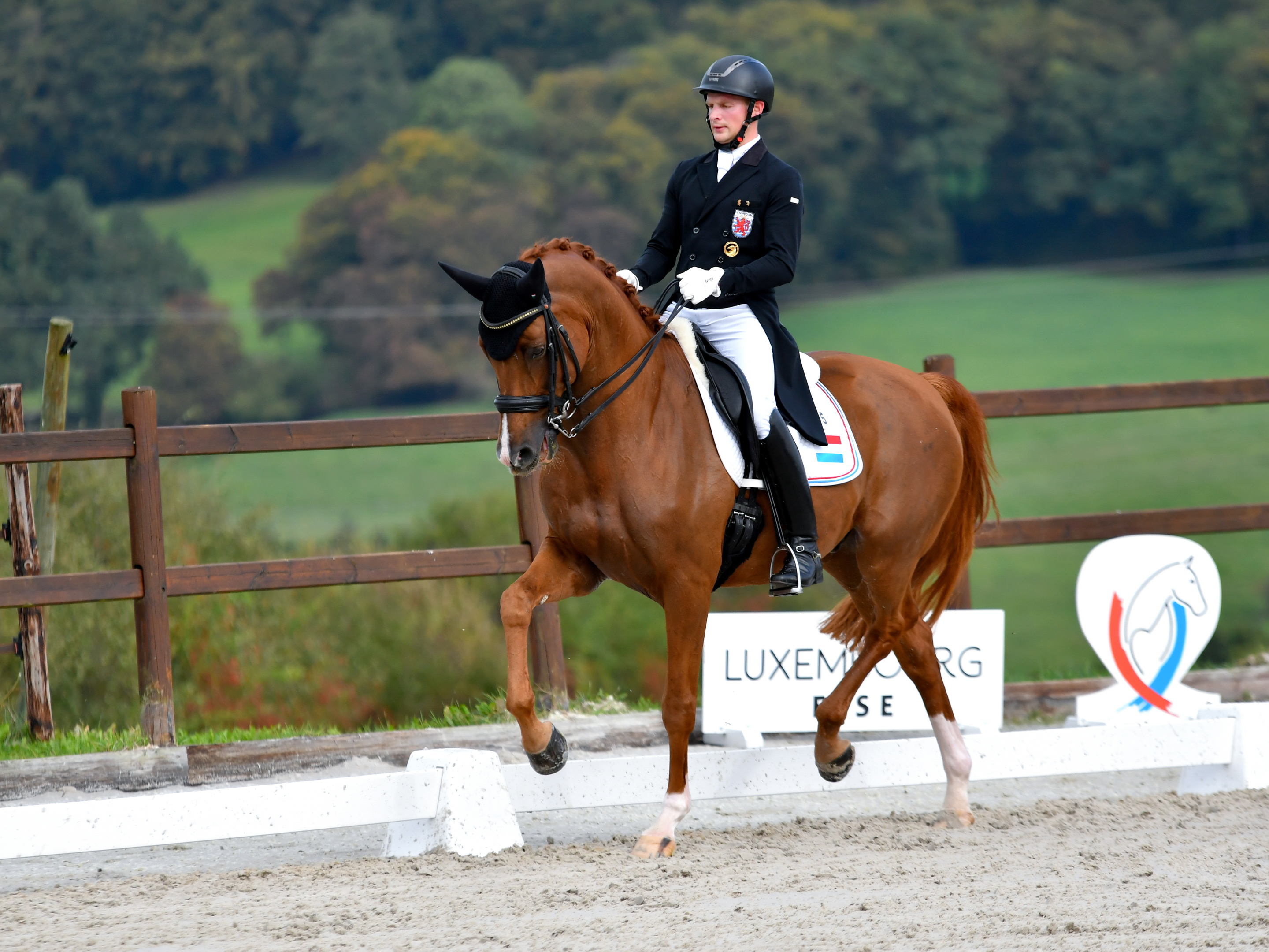 equitation-