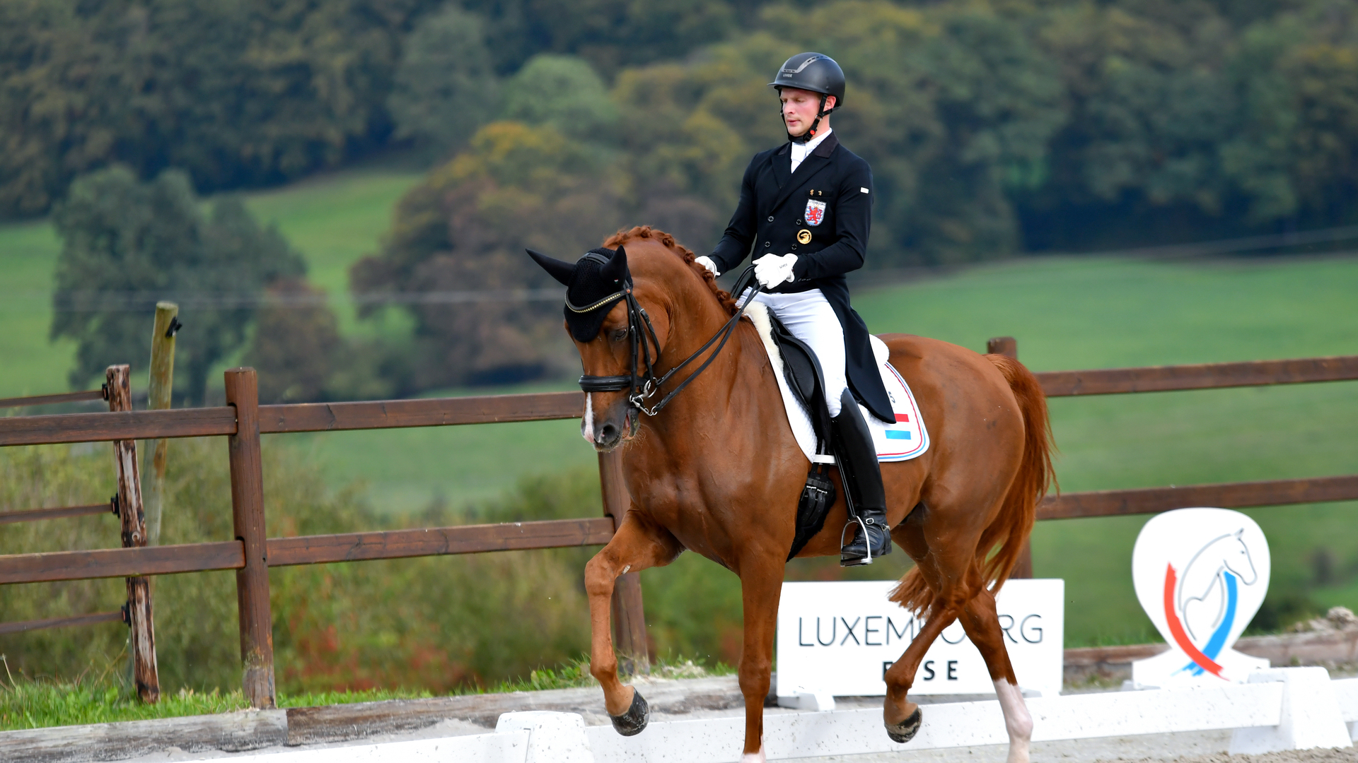 My healthy meal: Olympic dressage rider's salmon, egg and olive