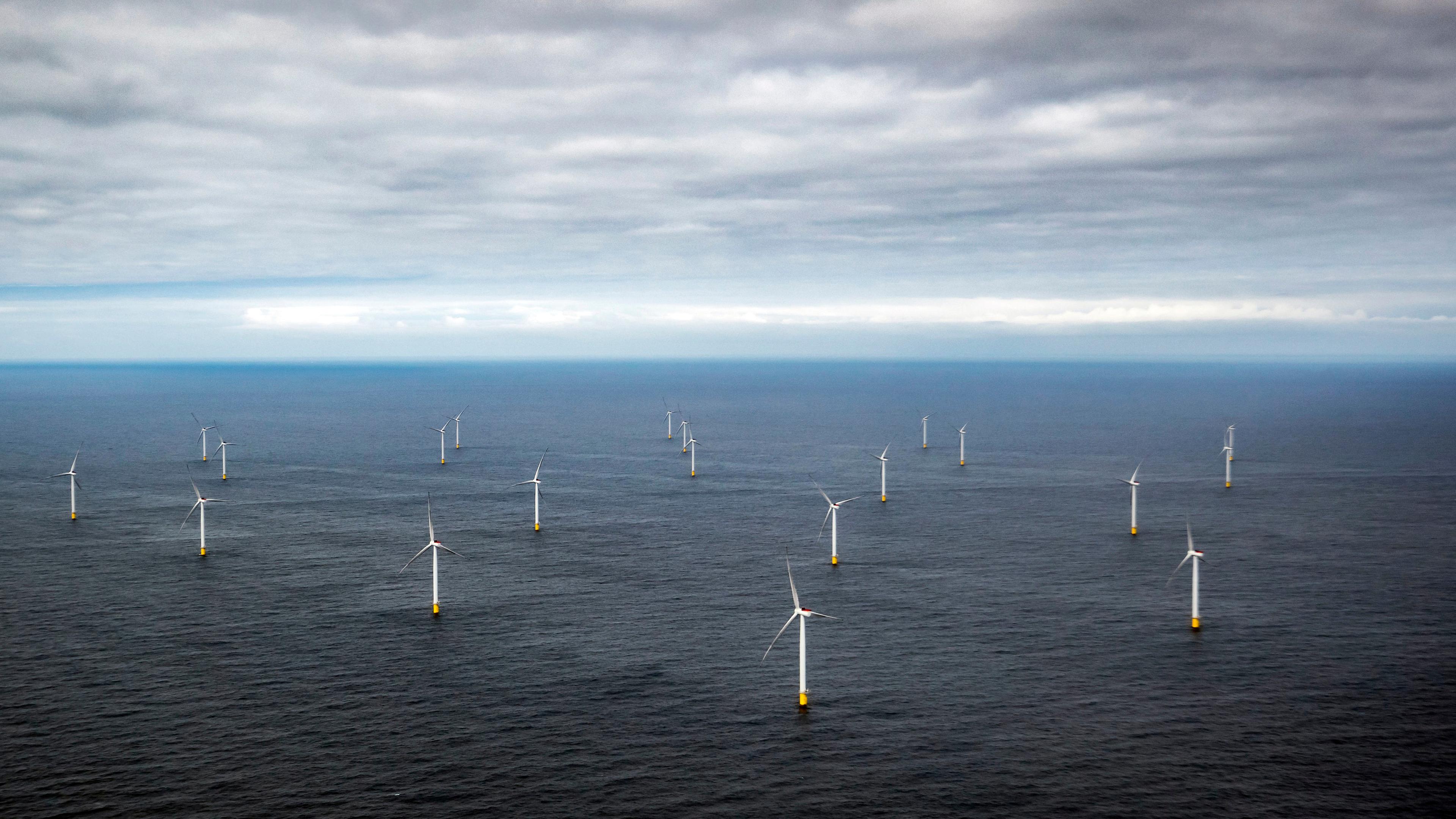 Die Windkraftanlagen des Offshore-Windparks «Race Bank» vor der Küste der Grafschaften Norfolk und Lincolnshire in der Nordsee.