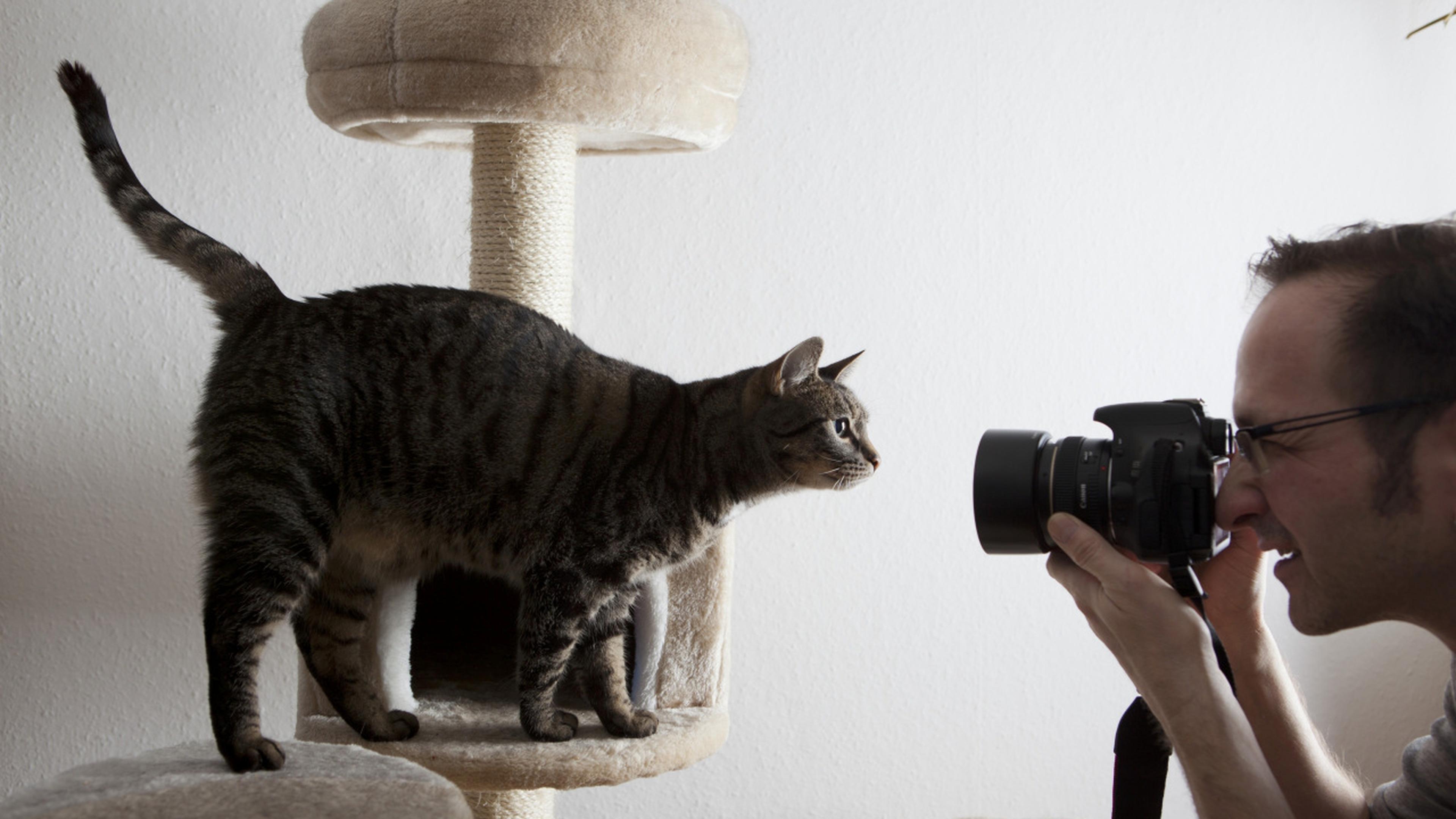 Wie fotografiert man am besten Tiere?