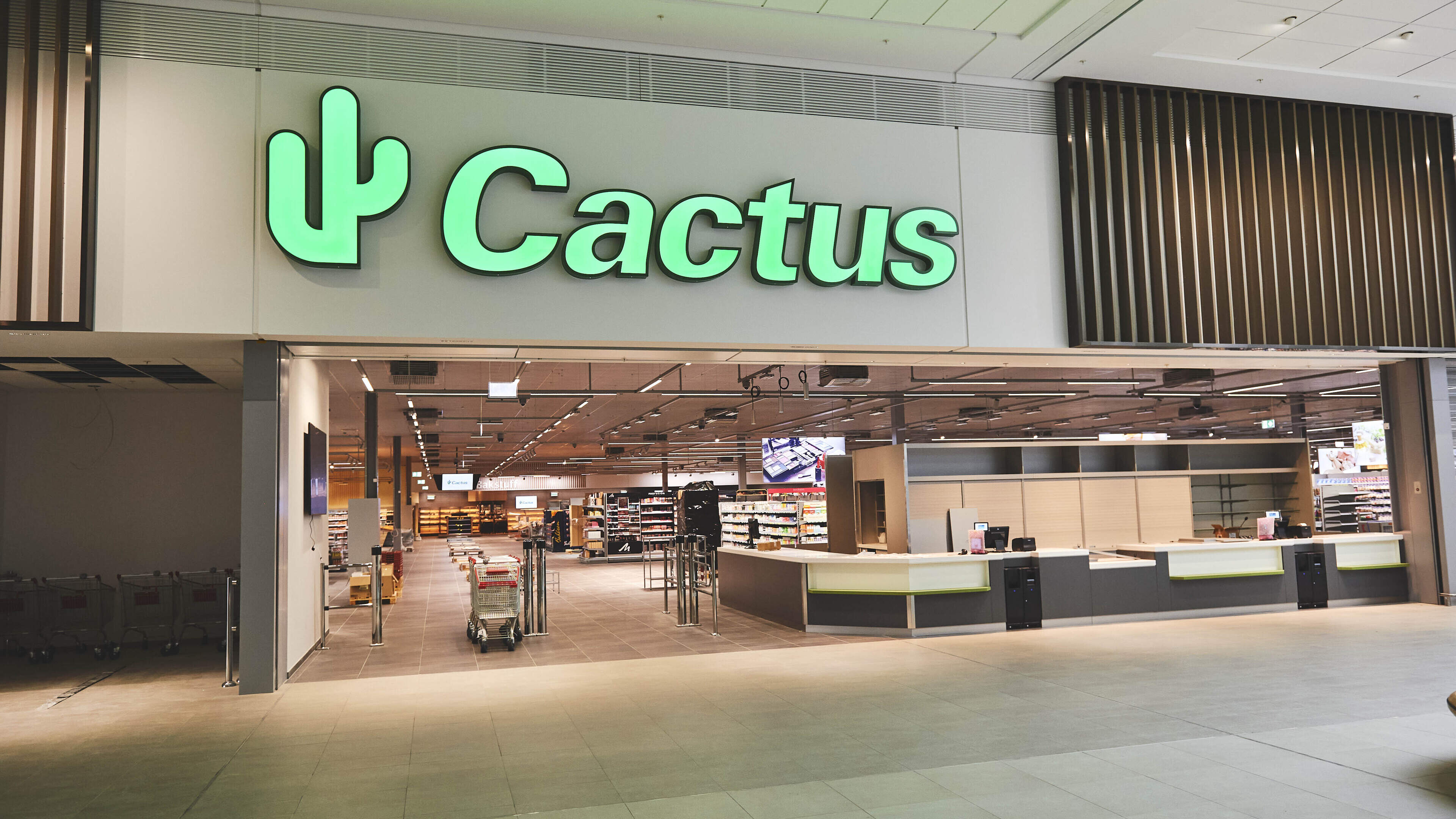 cactus qui danse Cactus Dansant et Parlant Rechargeable avec Musique et LED Multicolore –  InnovaGoods Store main image 0