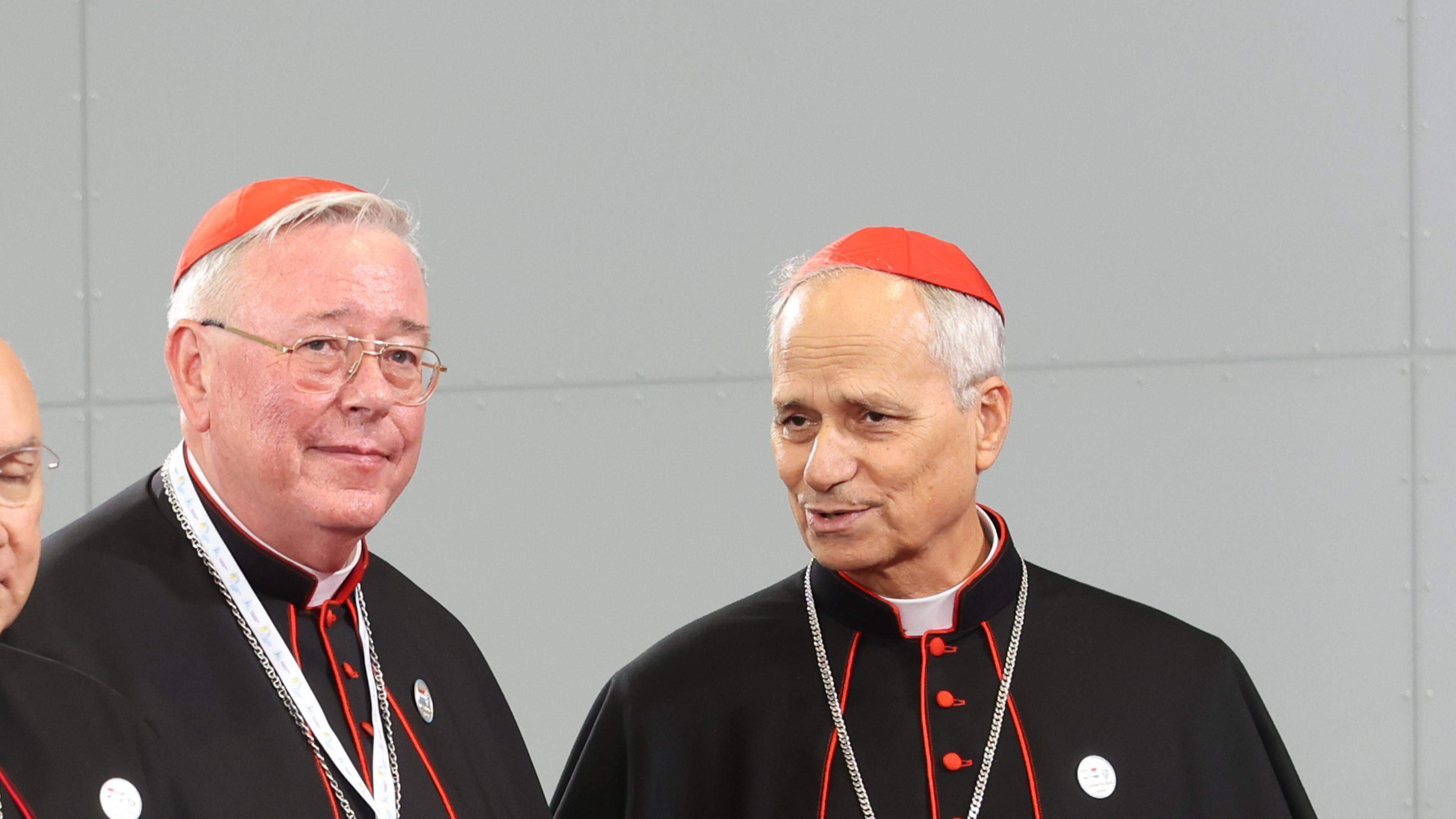 Cardinal Hollerich reveals details about the conclave