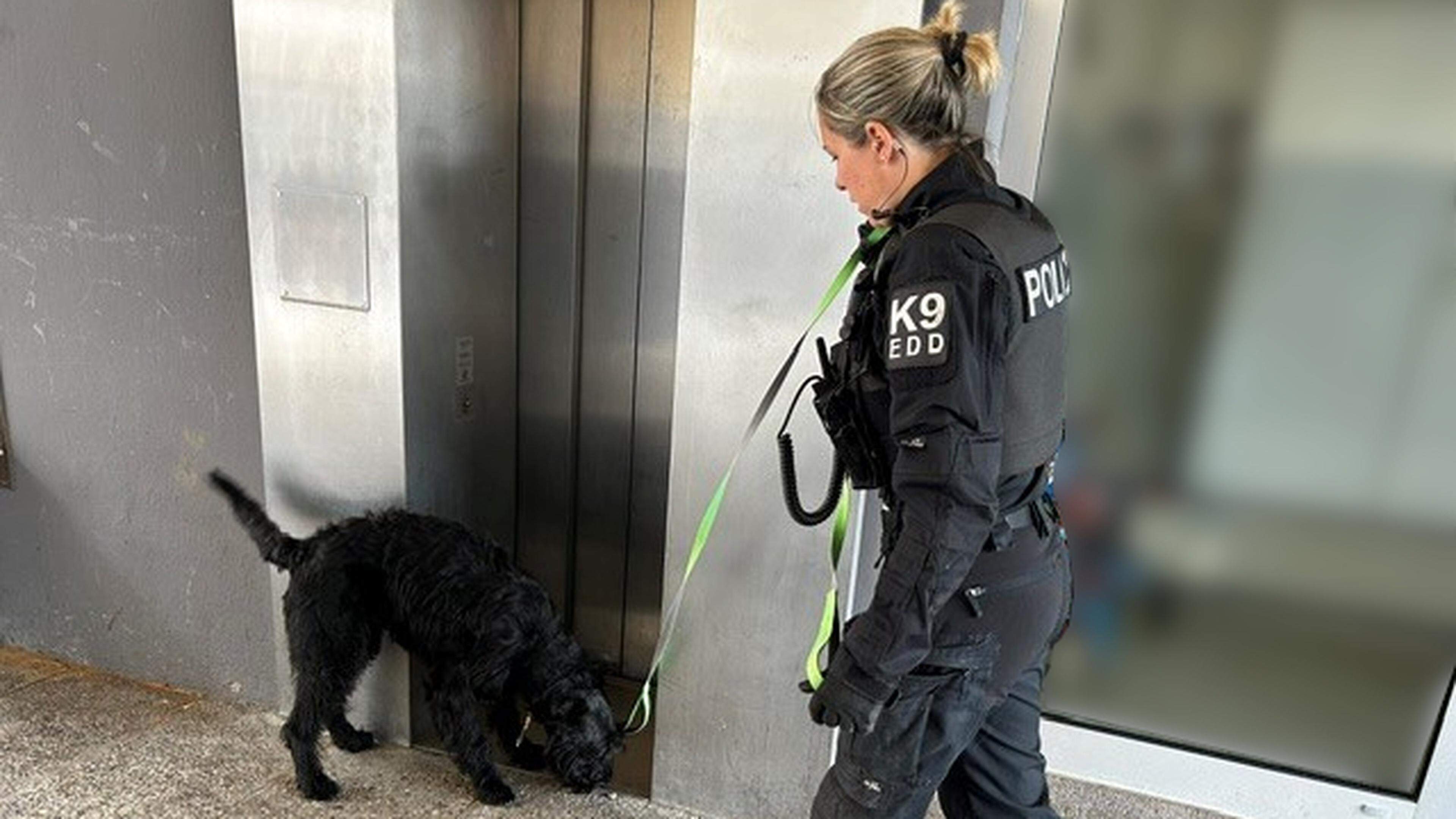 Sniffing support: police searched the station district
