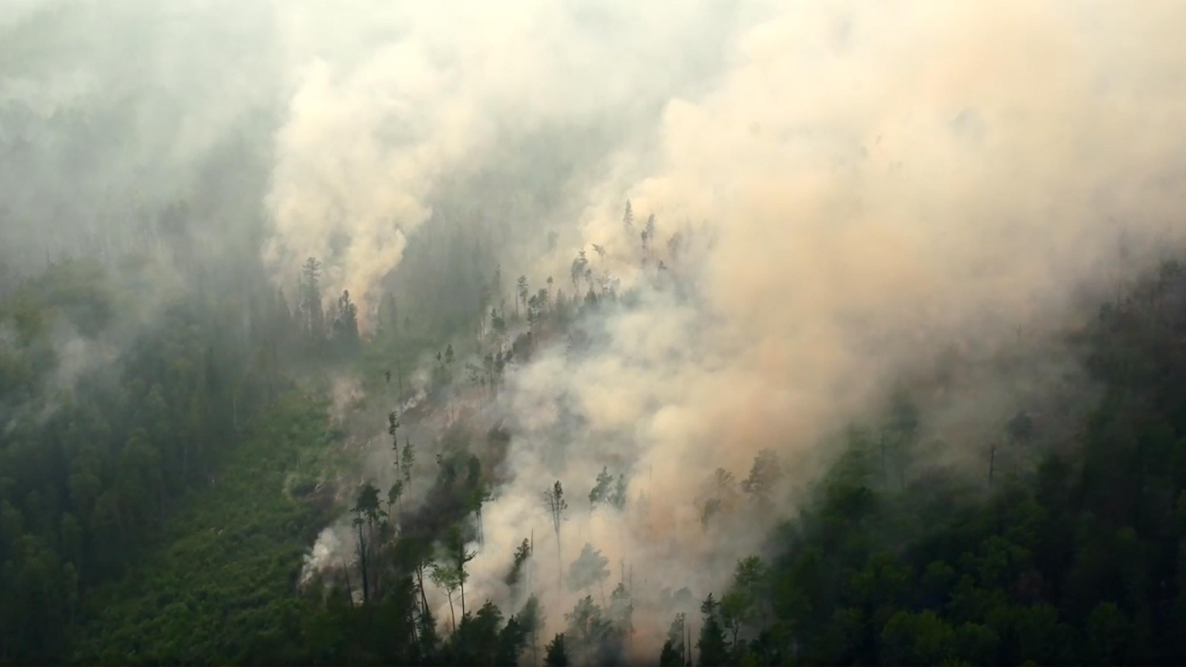 Лесной пожар дым. 2019. Forest Fires in Siberia. Смог от лесных пожаров. Дым пожар. Дым от лесных пожаров.