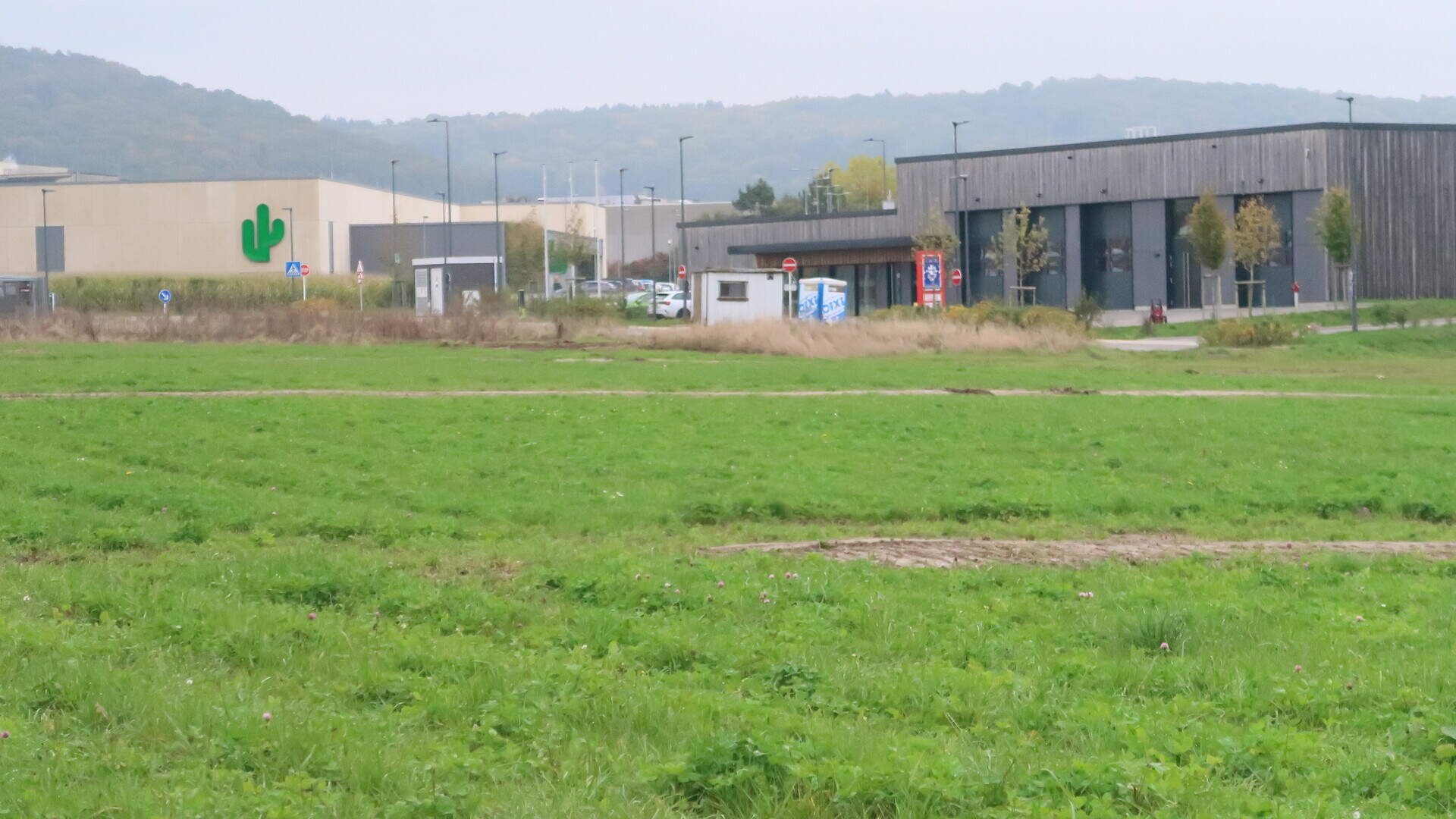efeu hecke Efeu & Efeuhecke Sichtschutz kaufen, 220 cm Höhe Bis zu 30% Sparen –  Efeuria, die Gartenhecken aus Efeu main image 1