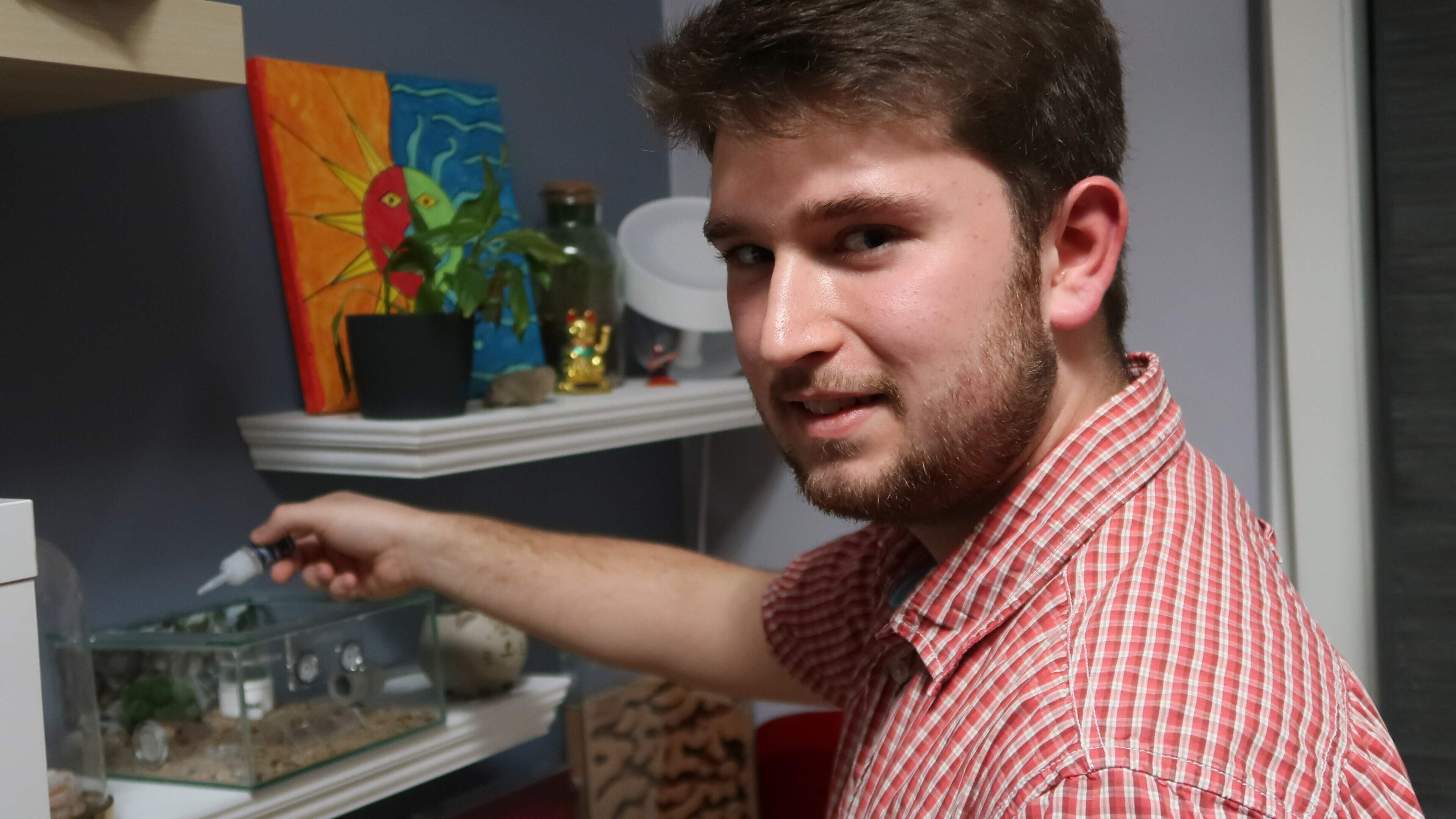 Laurent hat Hunderte Haustiere – sie passen alle auf einen T
