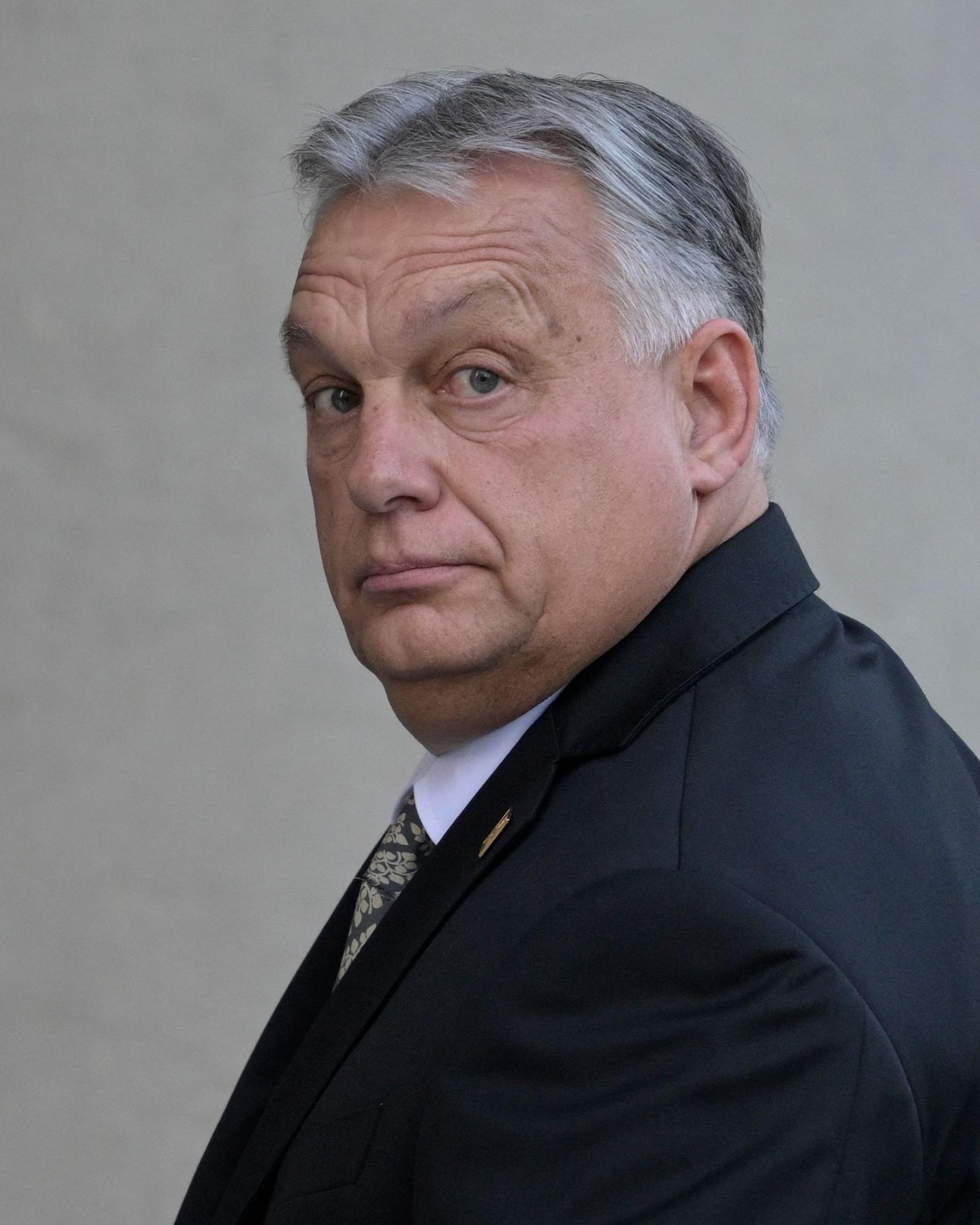 Österreichs Rechtspopulisten biedern sich gegenüber Ungarns Regierungschef Viktor Orbán an.