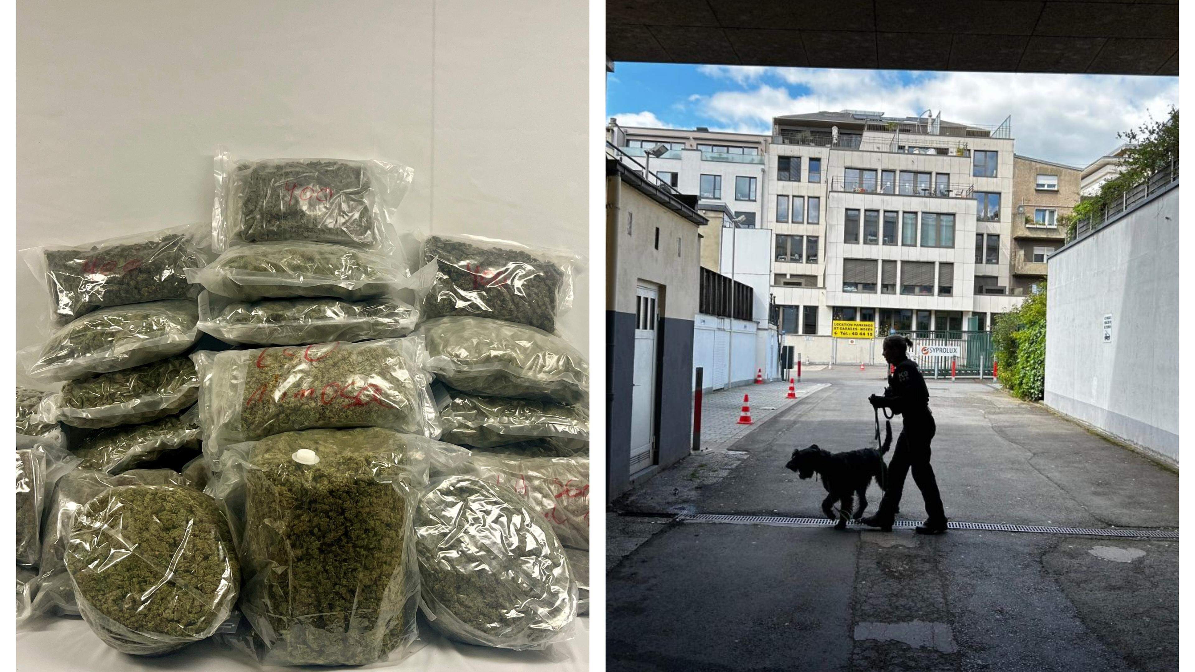 Luxembourg announces drug dealers the fight