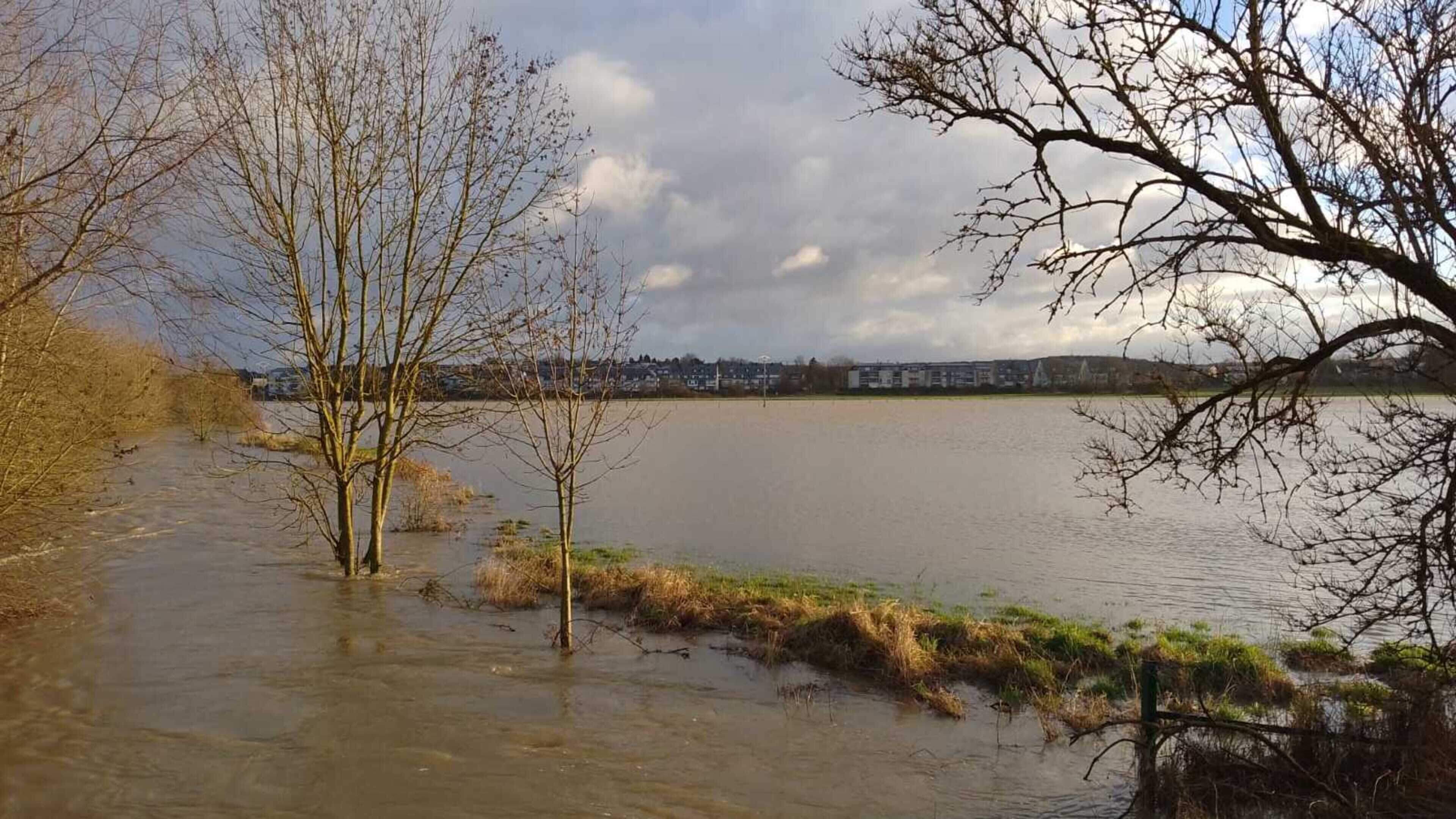 Extensive flooding in Luxembourg, but very little damage - Vimarsana News