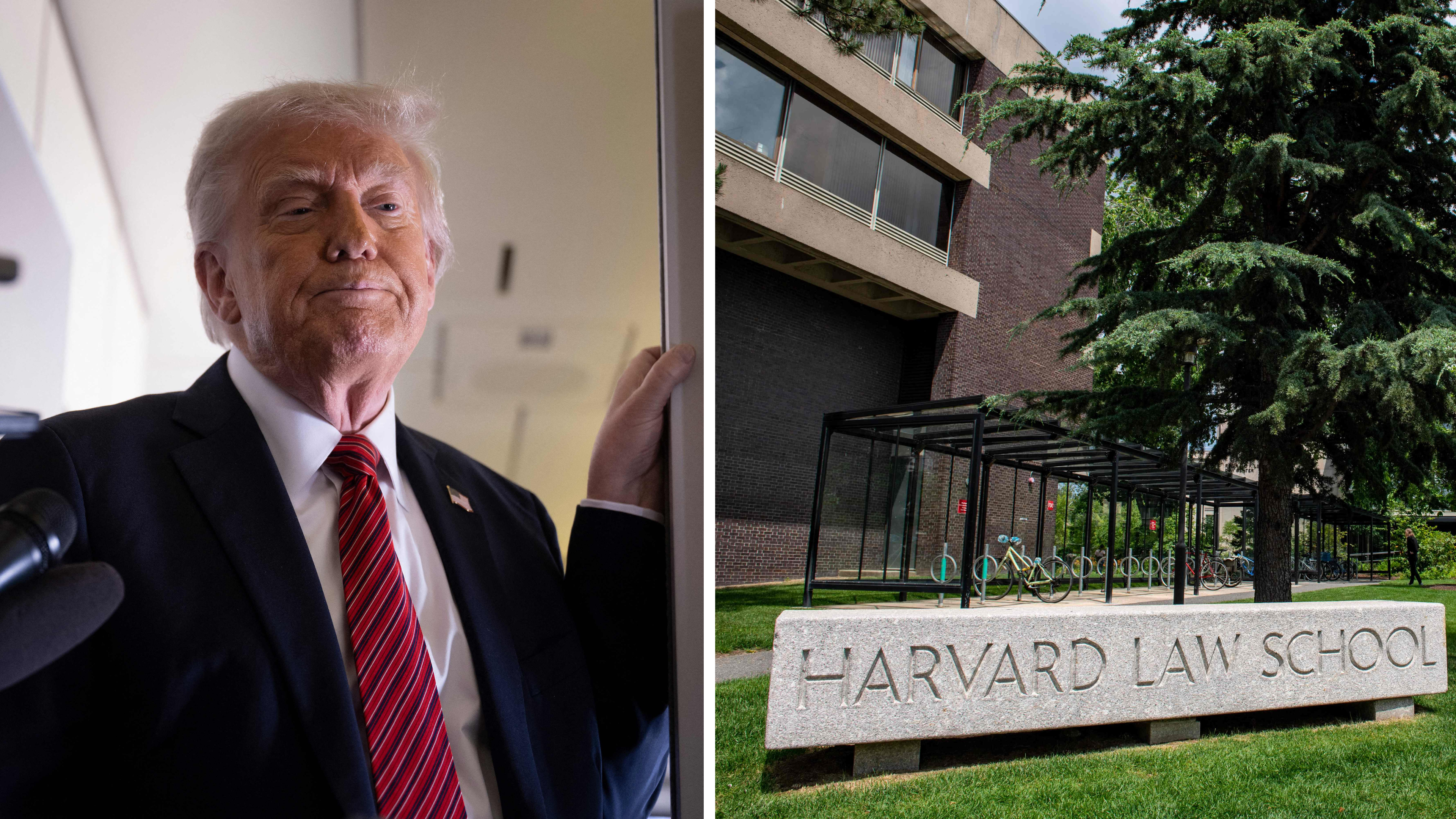 Foreigners are not allowed to study in Harvard