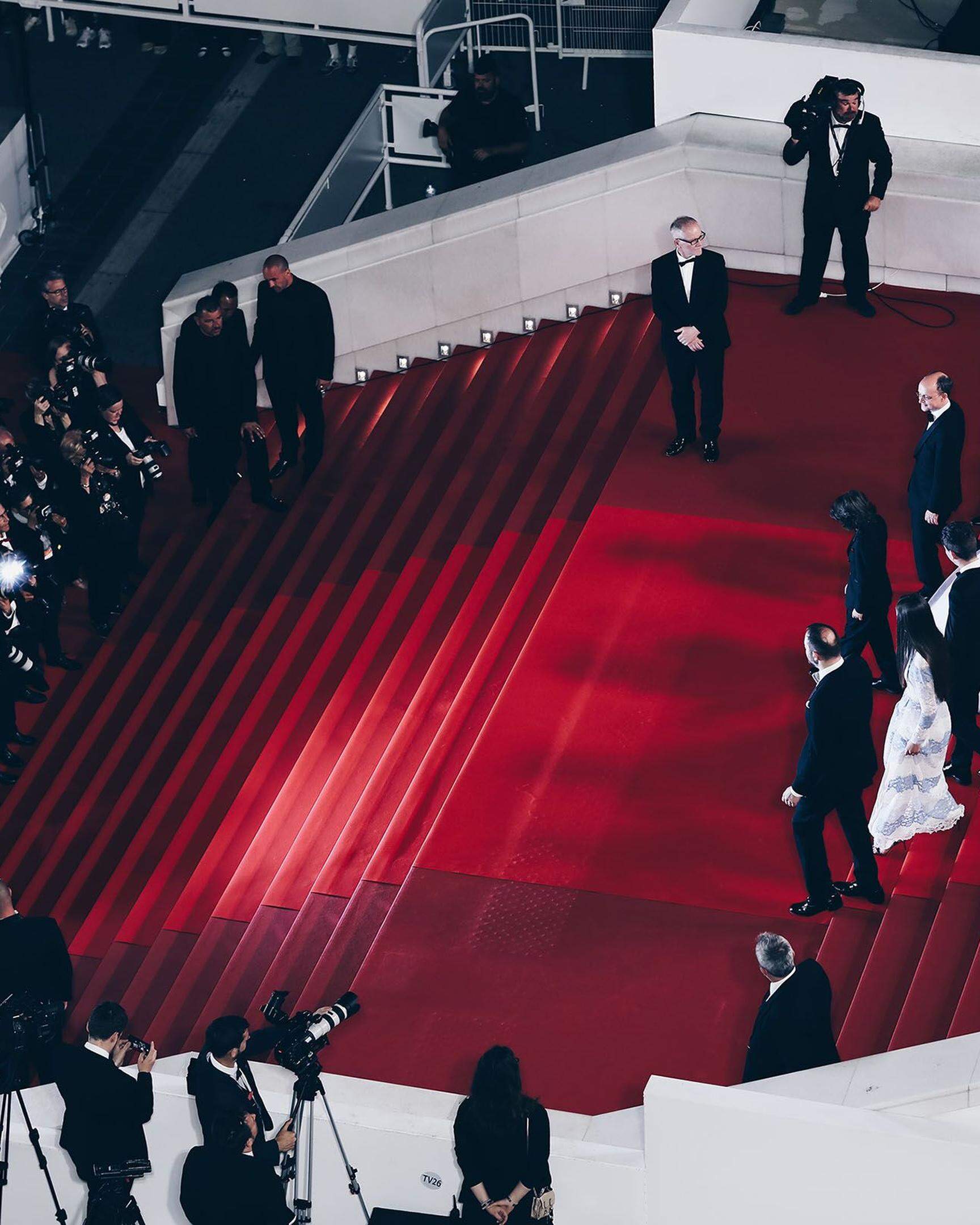 Auf dem Roten Teppich werden auch dieses Jahr wieder jede Menge internationale Weltstars erwartet, darunter: Emma Stone, Kevin Costner, George Miller, Francis Ford Coppola und Cate Blanchett.