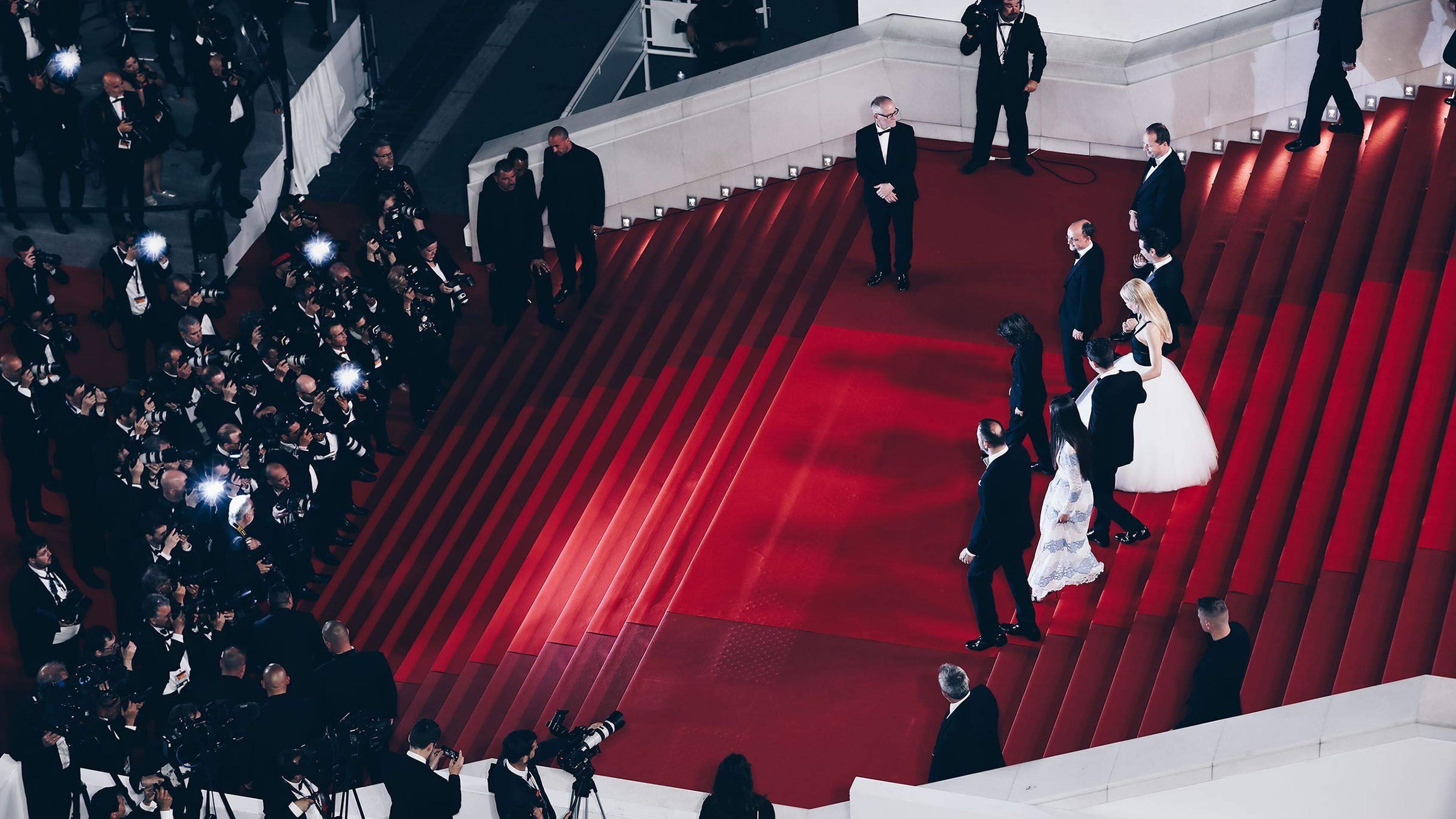 Auf dem Roten Teppich werden auch dieses Jahr wieder jede Menge internationale Weltstars erwartet, darunter: Emma Stone, Kevin Costner, George Miller, Francis Ford Coppola und Cate Blanchett.