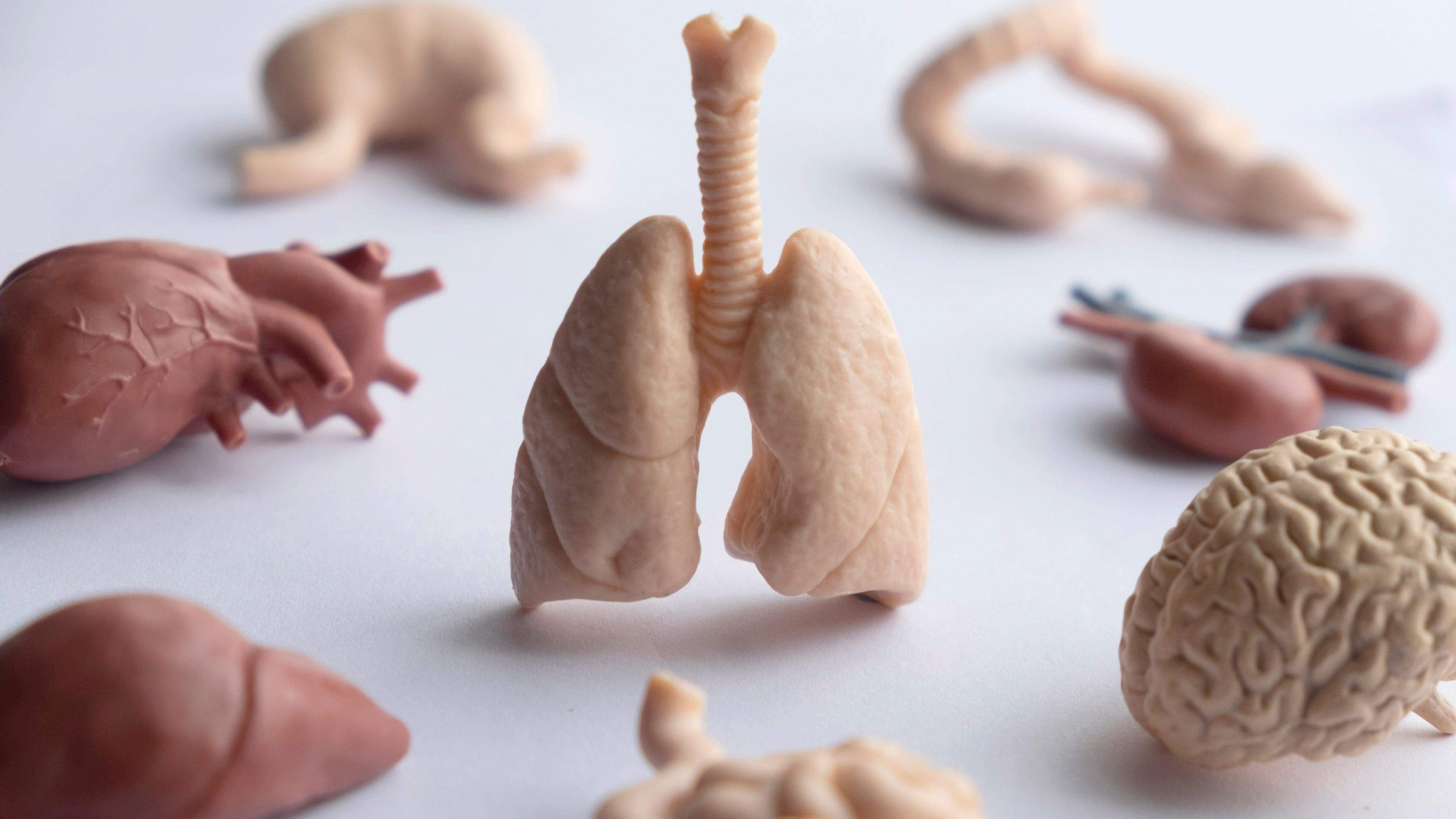 The number of organs’ withdrawals is increasing in Luxembourg