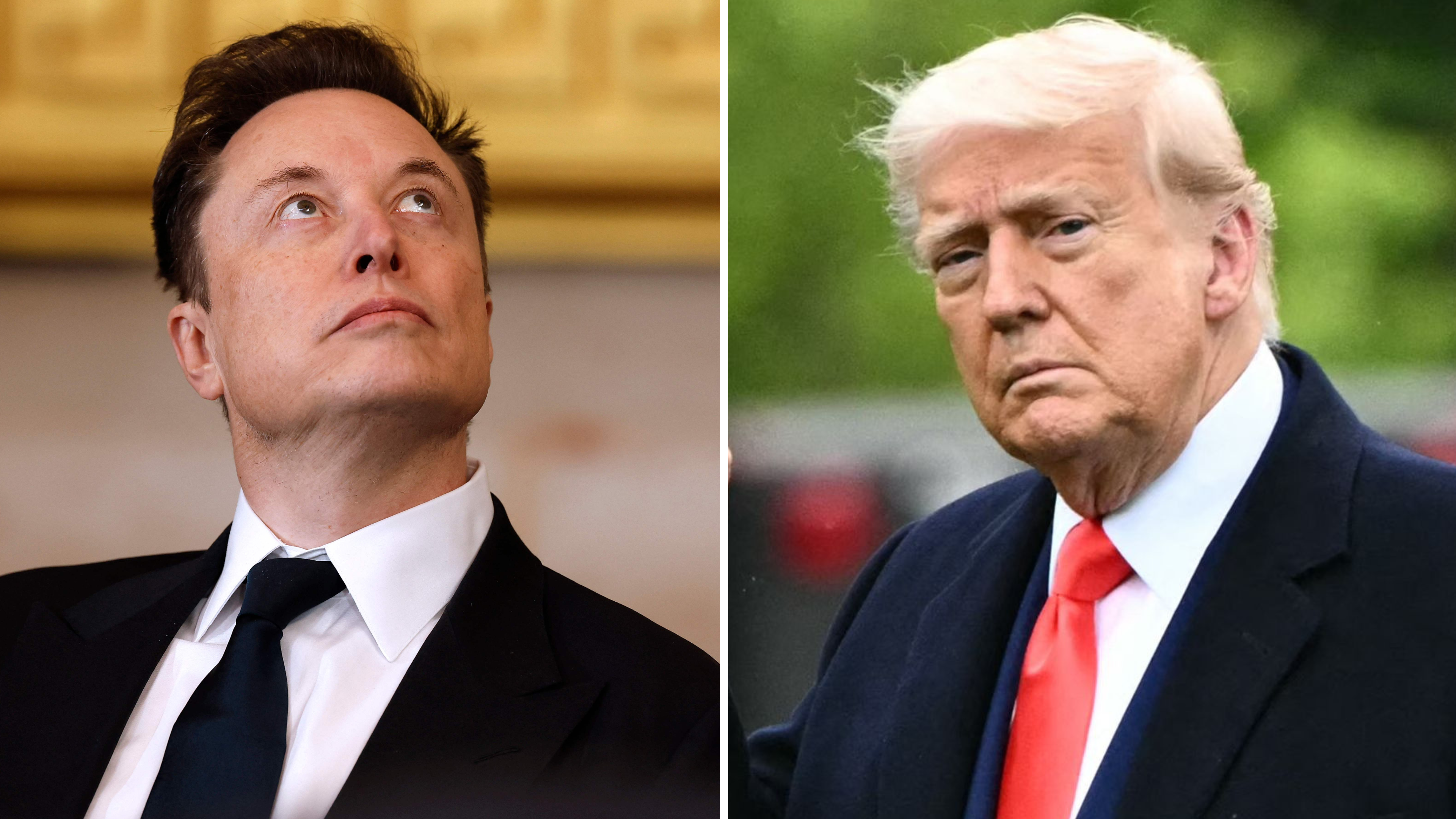 Musk puts on with Donald Trump