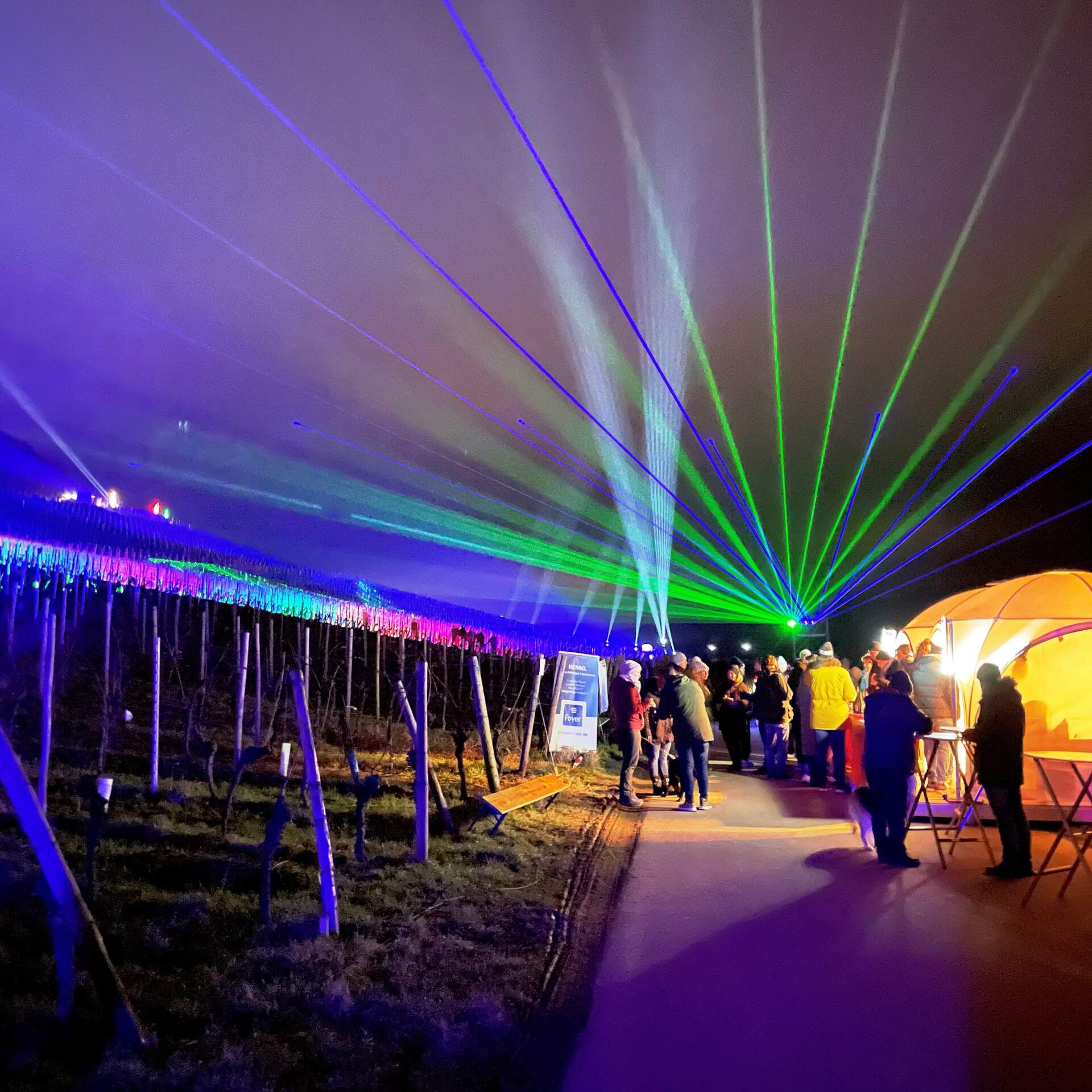 Les vignobles illuminés ont à nouveau attiré des milliers de