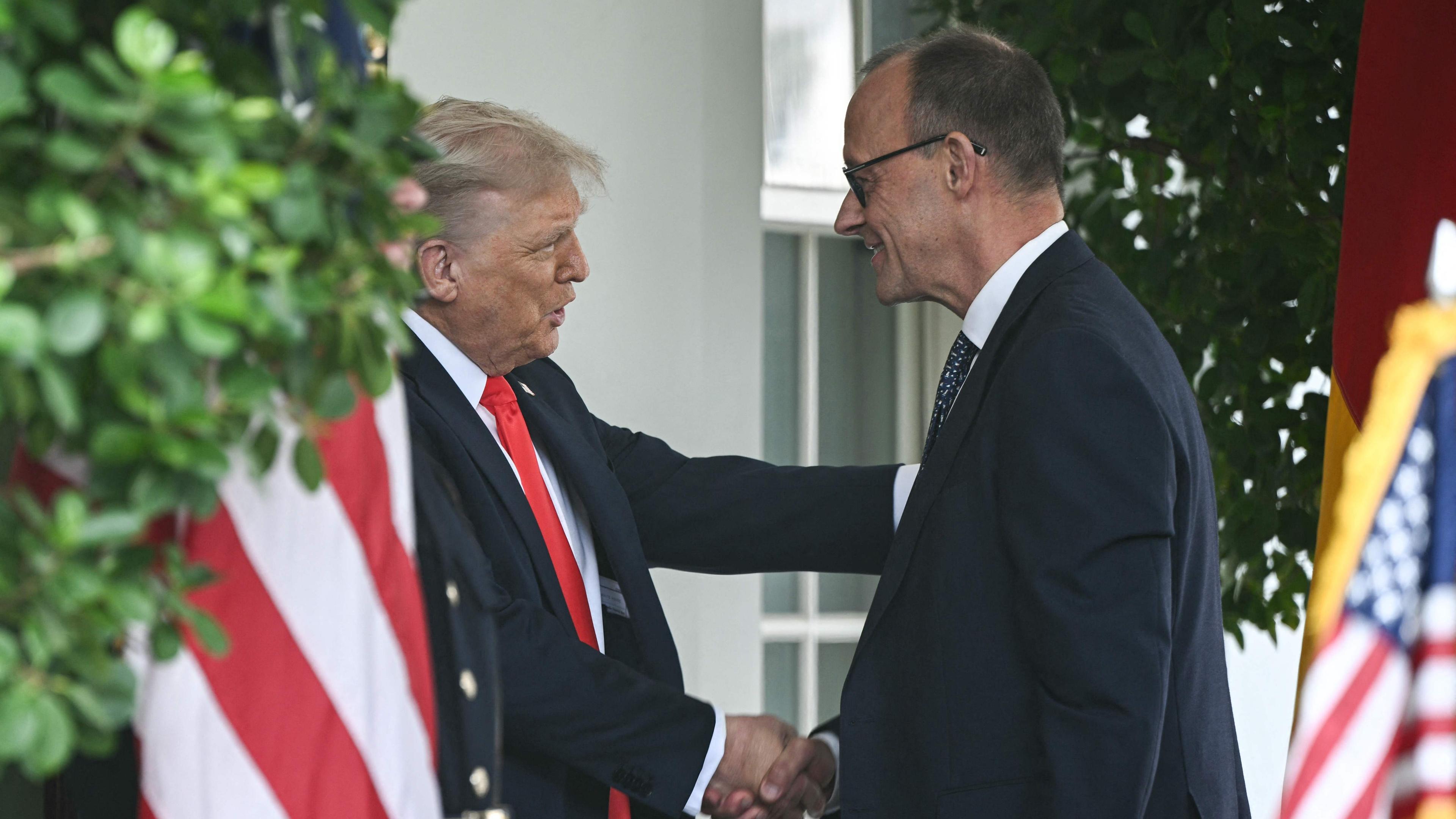 Merz at Trump: Warm reception for the German Chancellor