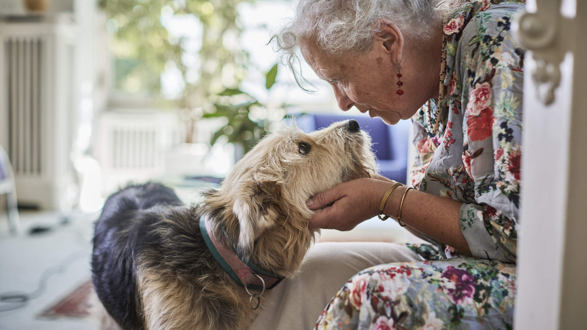 Hund, Katze & Co: Wie Haustiere unsere Lebenszufriedenheit strken | Luxemburger Wort Hund, Katze & Co: Wie Haustiere unsere Lebenszufriedenheit strken | Luxemburger Wort