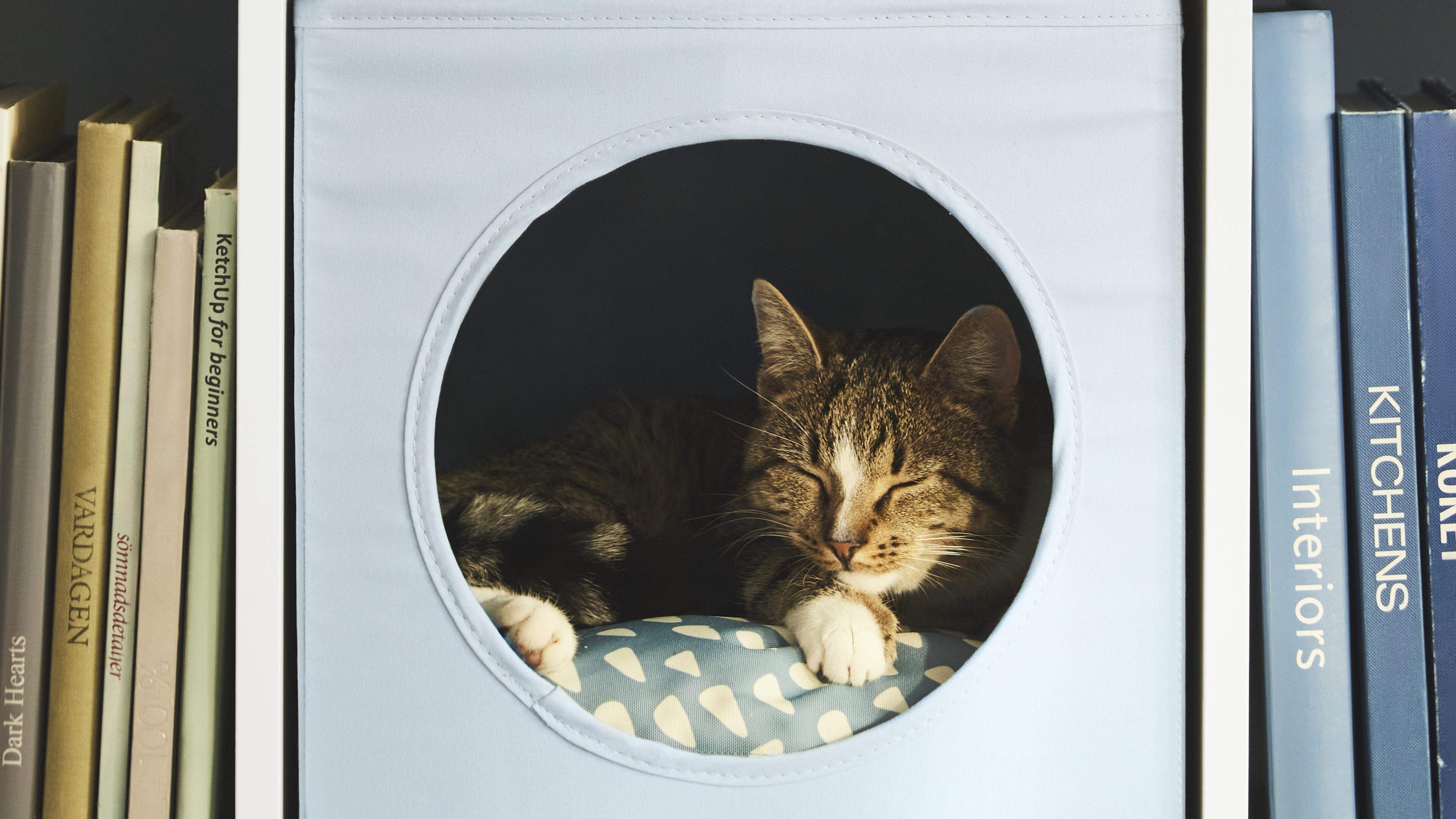 Sich fast unbemerkt ins Gesamtbild einfügen und trotzdem den Überblick bewahren, können Katzen im Kojen-Einsatz fürs Kallaxregal von Ikea.