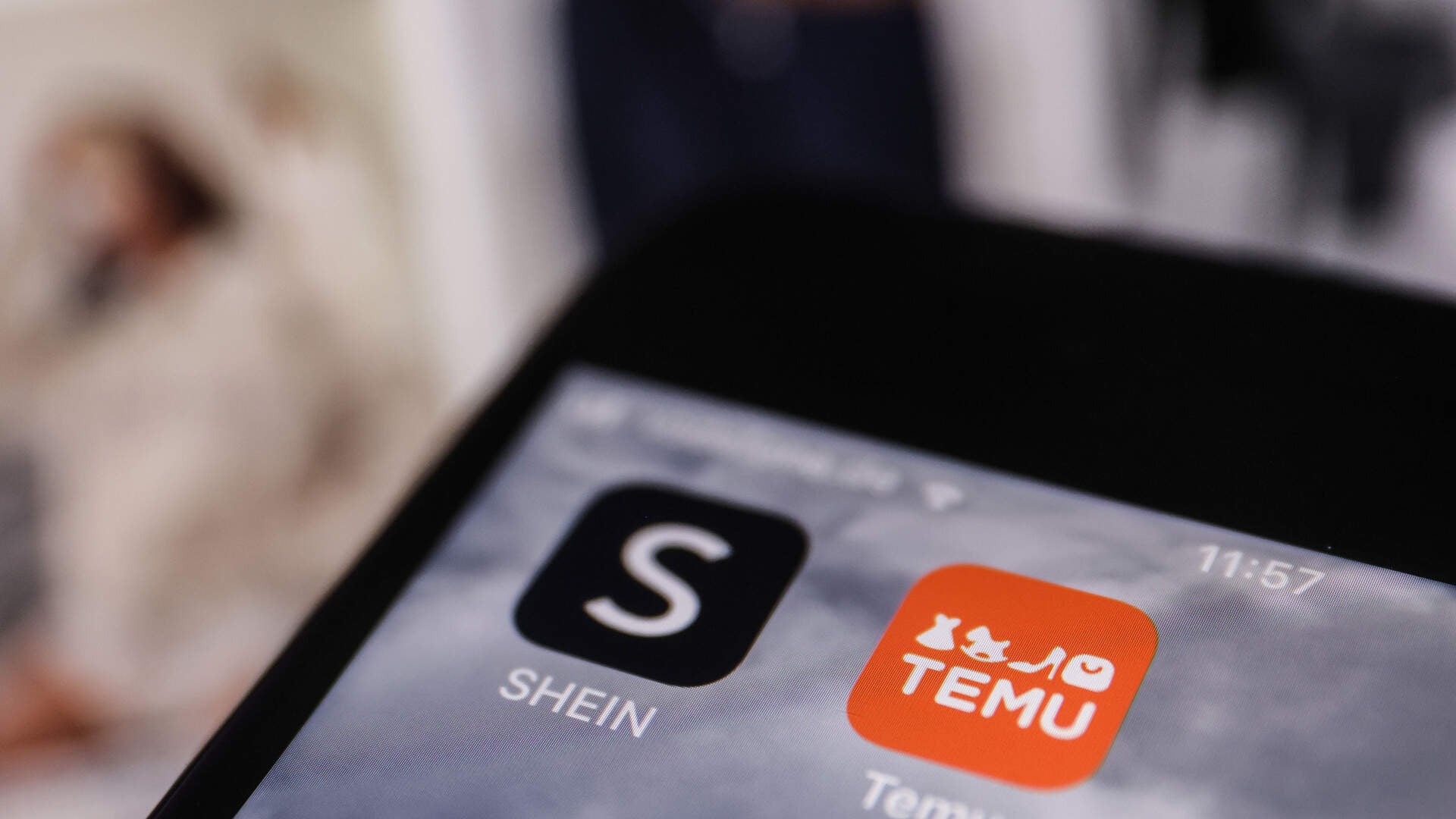China, home to online shopping platforms Temu and Shein, accounted for about 90% of merchandise under €150 coming into the EU last year