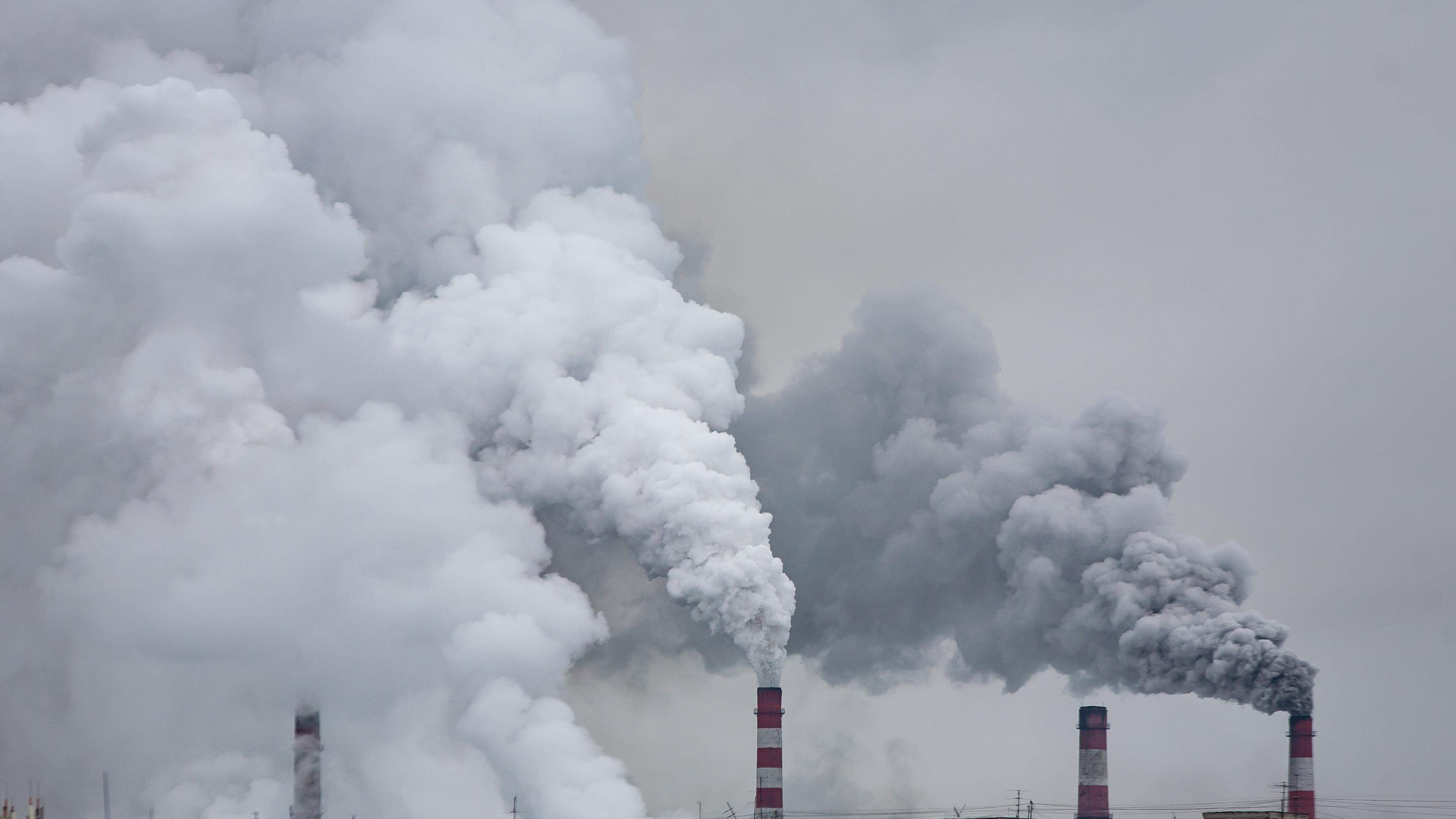 Expert Council advises on an ambitious EU climate center for 2040